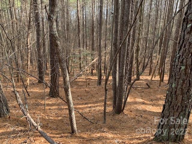 Deer Run at Lake Lure - Land