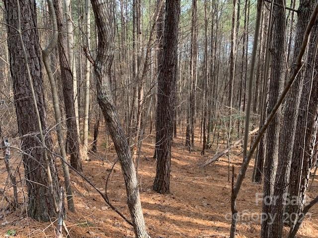 Deer Run at Lake Lure - Land