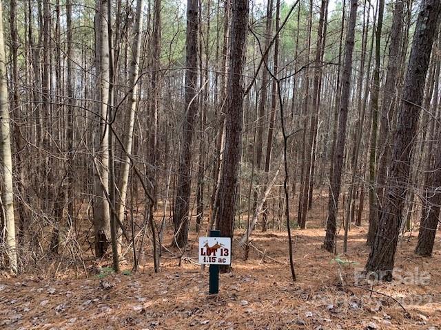 Deer Run at Lake Lure - Land