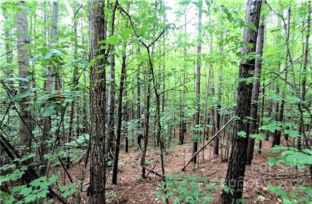 This listing is for a 1.15 acre building lot located in Deer Run Subdivision at Lake Lure. Property is located just four (4) miles from the water's edge of beautiful Lake Lure. Great private location for primary residence or vacation home. There are other lots for sale in this subdivision and adjoining lots can be combined to form a larger property for 1 yearly dues of only $375.00. Centrally located to Asheville, Charlotte and many points of interest in Western NC; as well as Greenville and the upstate areas of SC. About 6 miles to downtown Lake Lure, and 7 miles to Chimney Rock State Park. Approximately 15 minutes from the Tryon International Equestrian Center. Lot requires well and septic.
