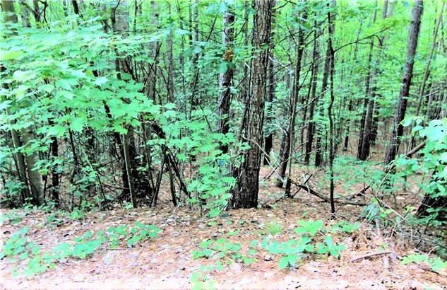 Deer Run at Lake Lure - Land