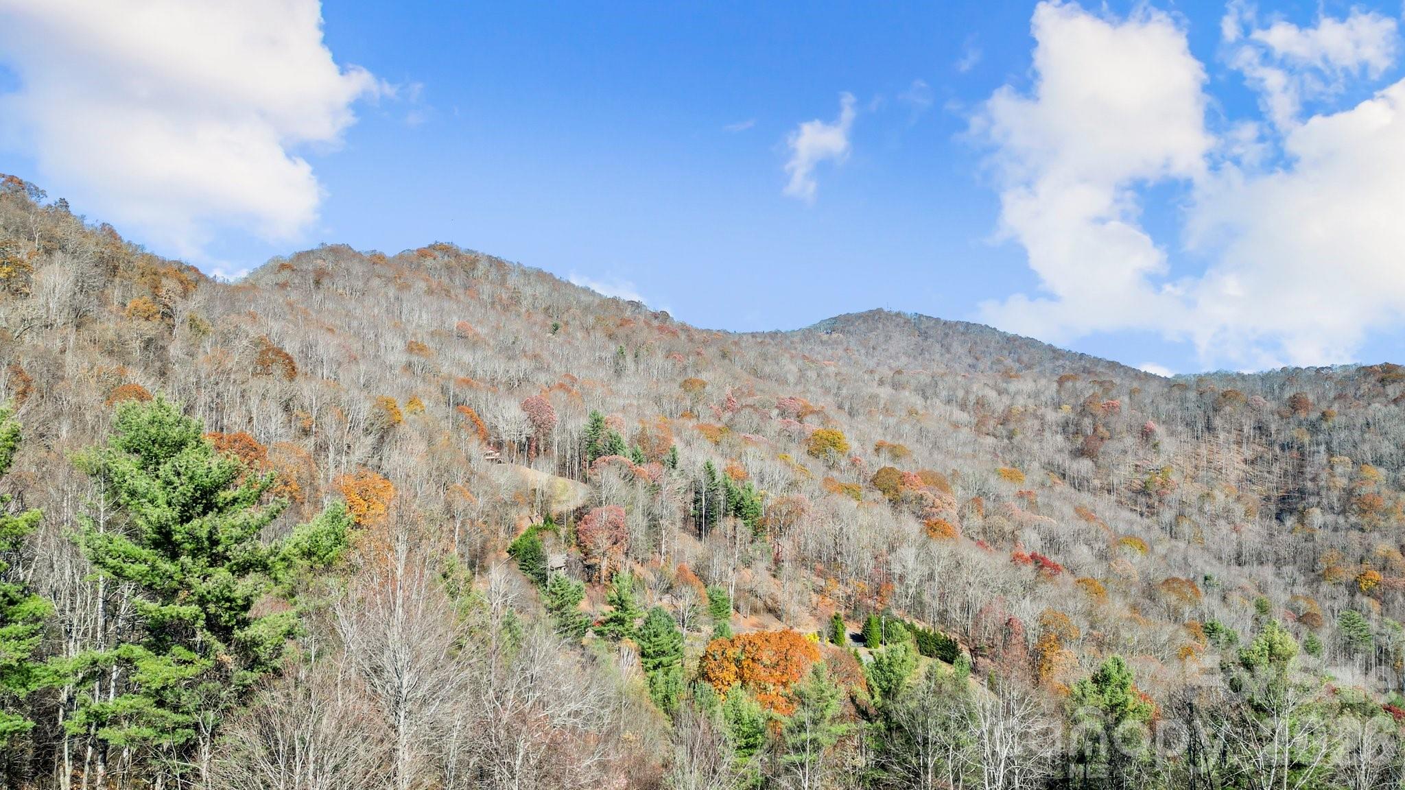Peacock Mountain Development - Land
