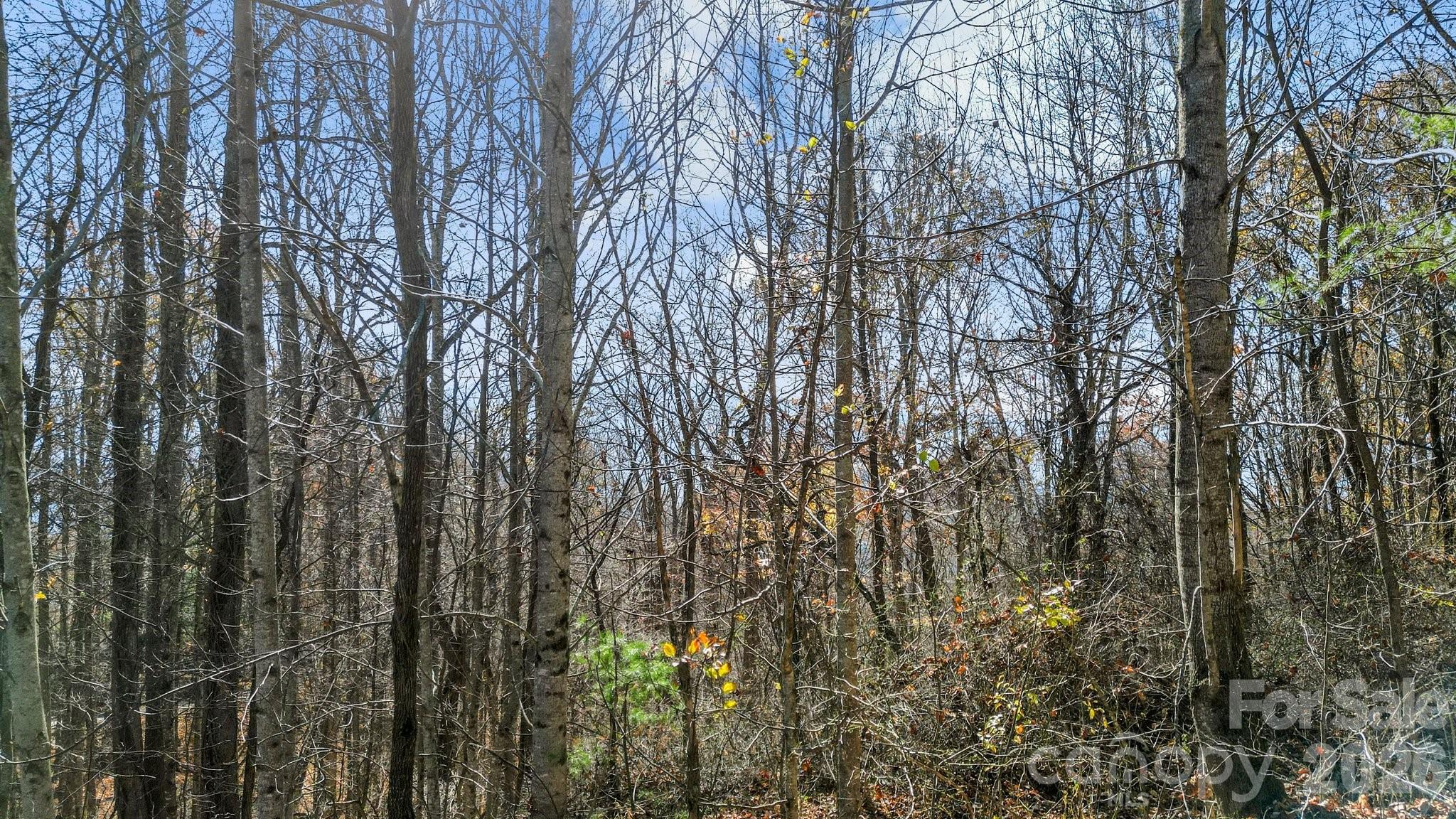Peacock Mountain Development - Land