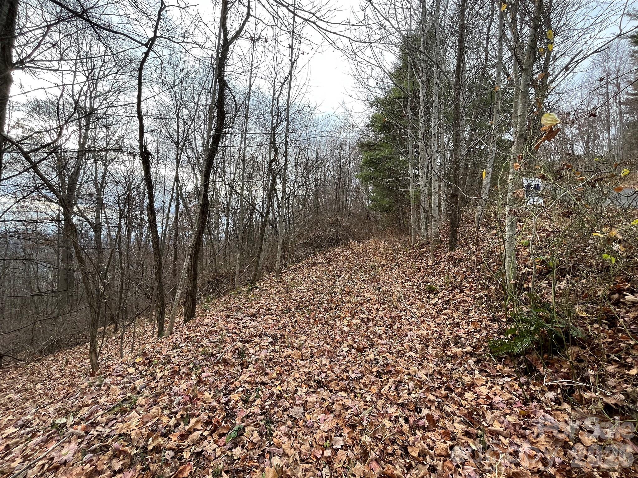 Peacock Mountain Development - Land