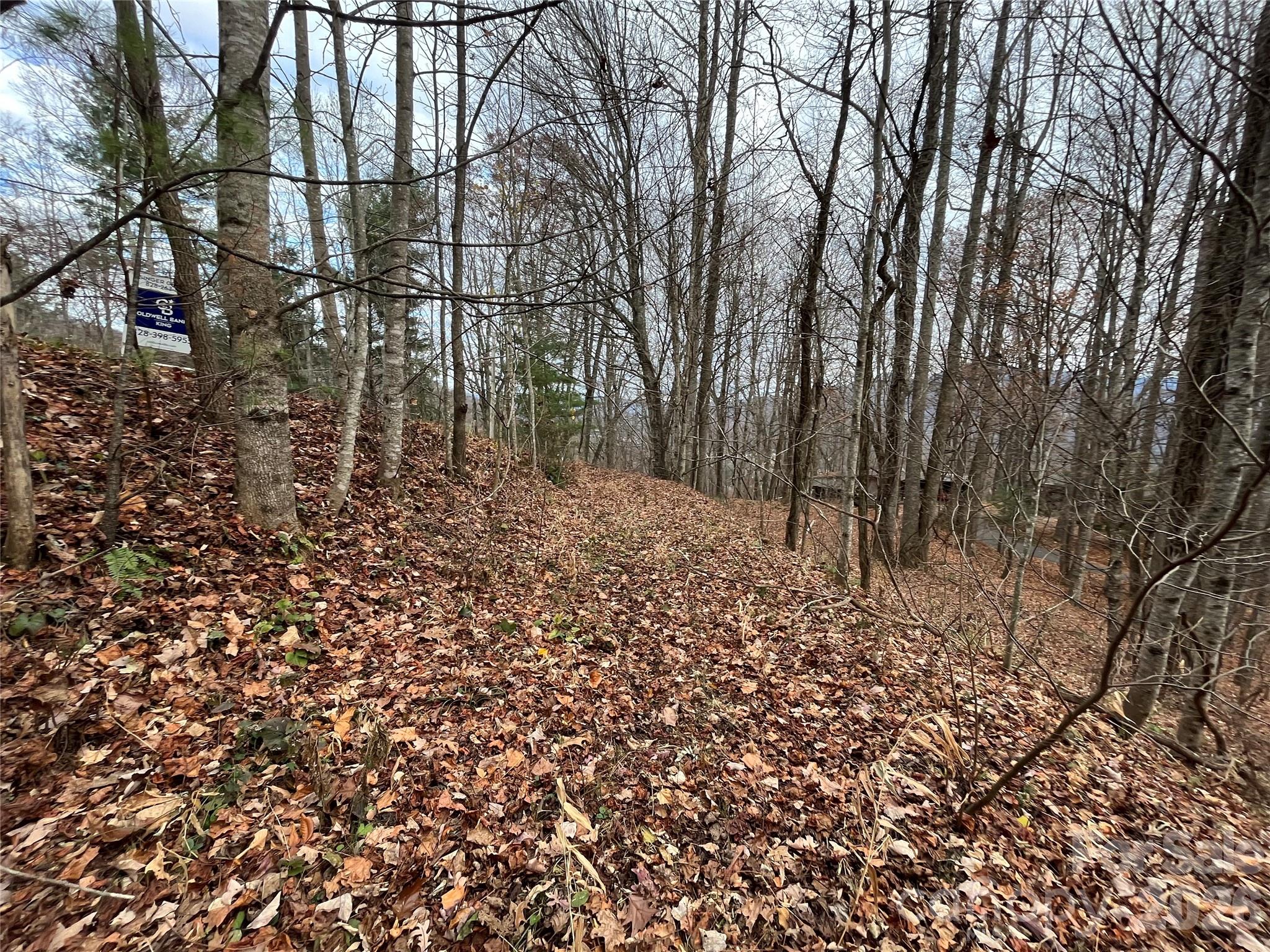 Peacock Mountain Development - Land