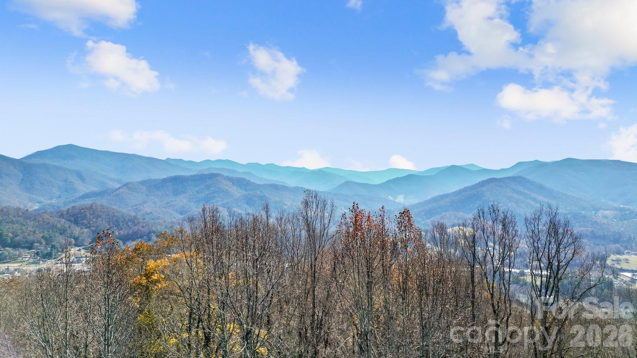 Peacock Mountain Development - Land