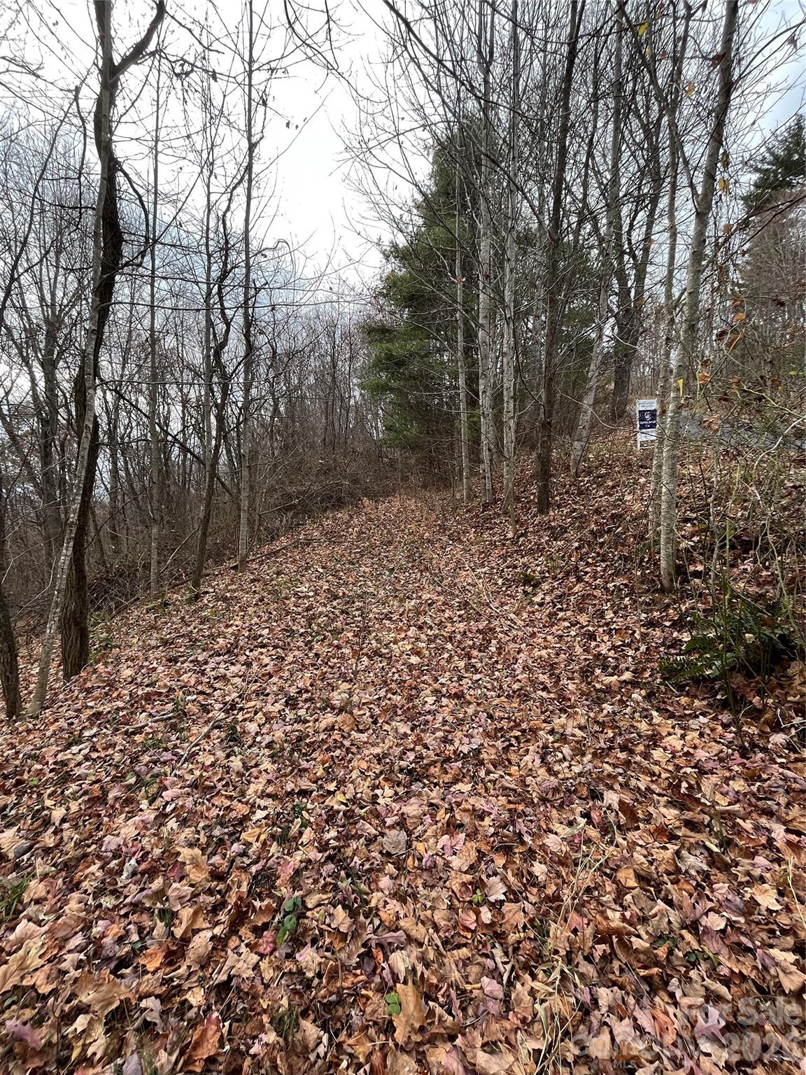 Peacock Mountain Development - Land