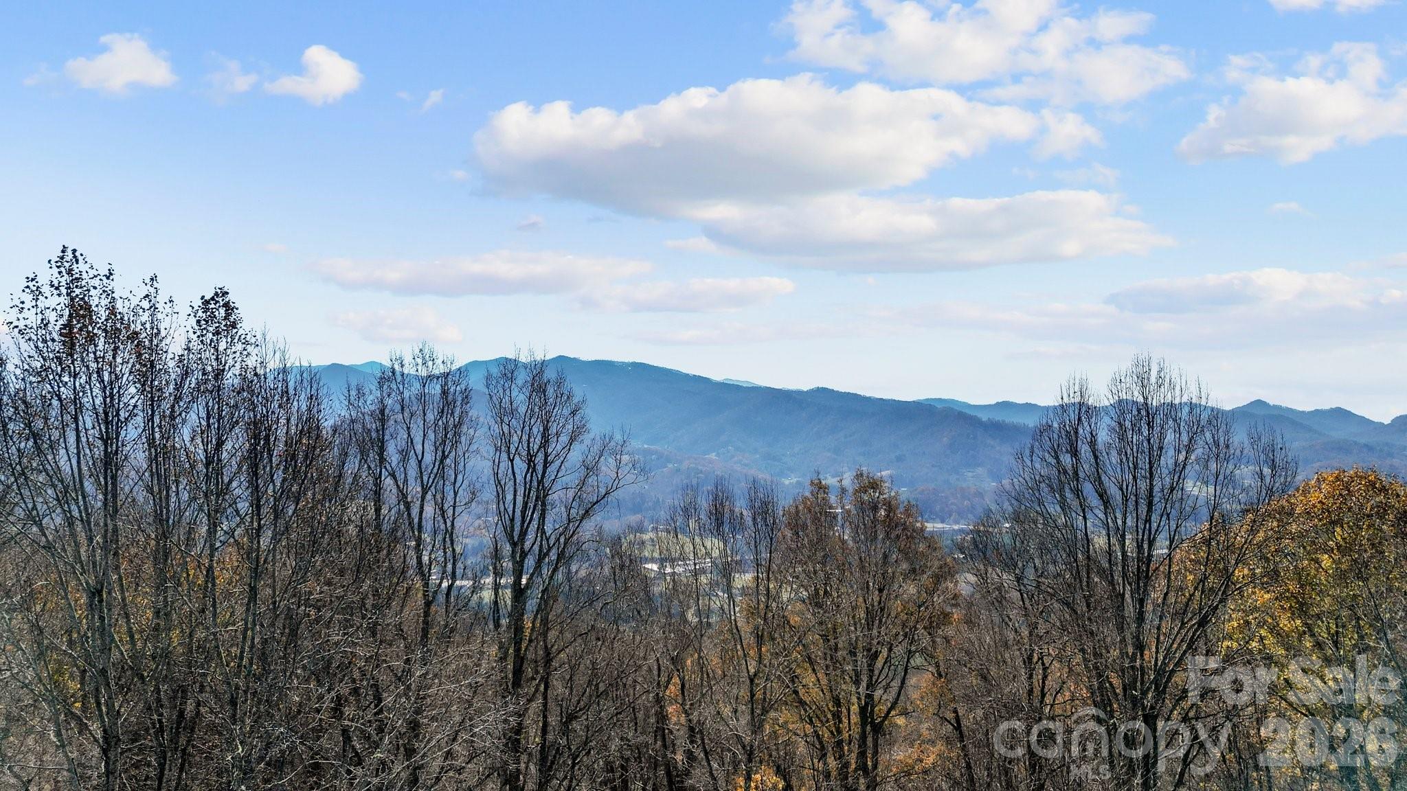 Peacock Mountain Development - Land