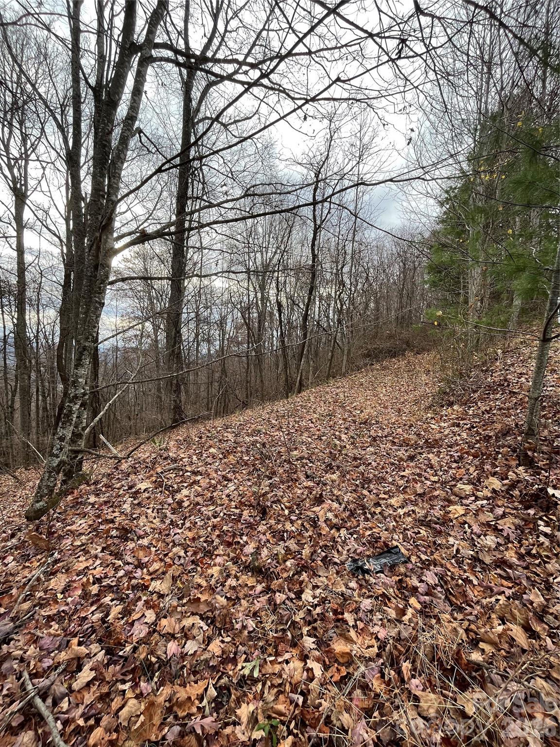 Peacock Mountain Development - Land