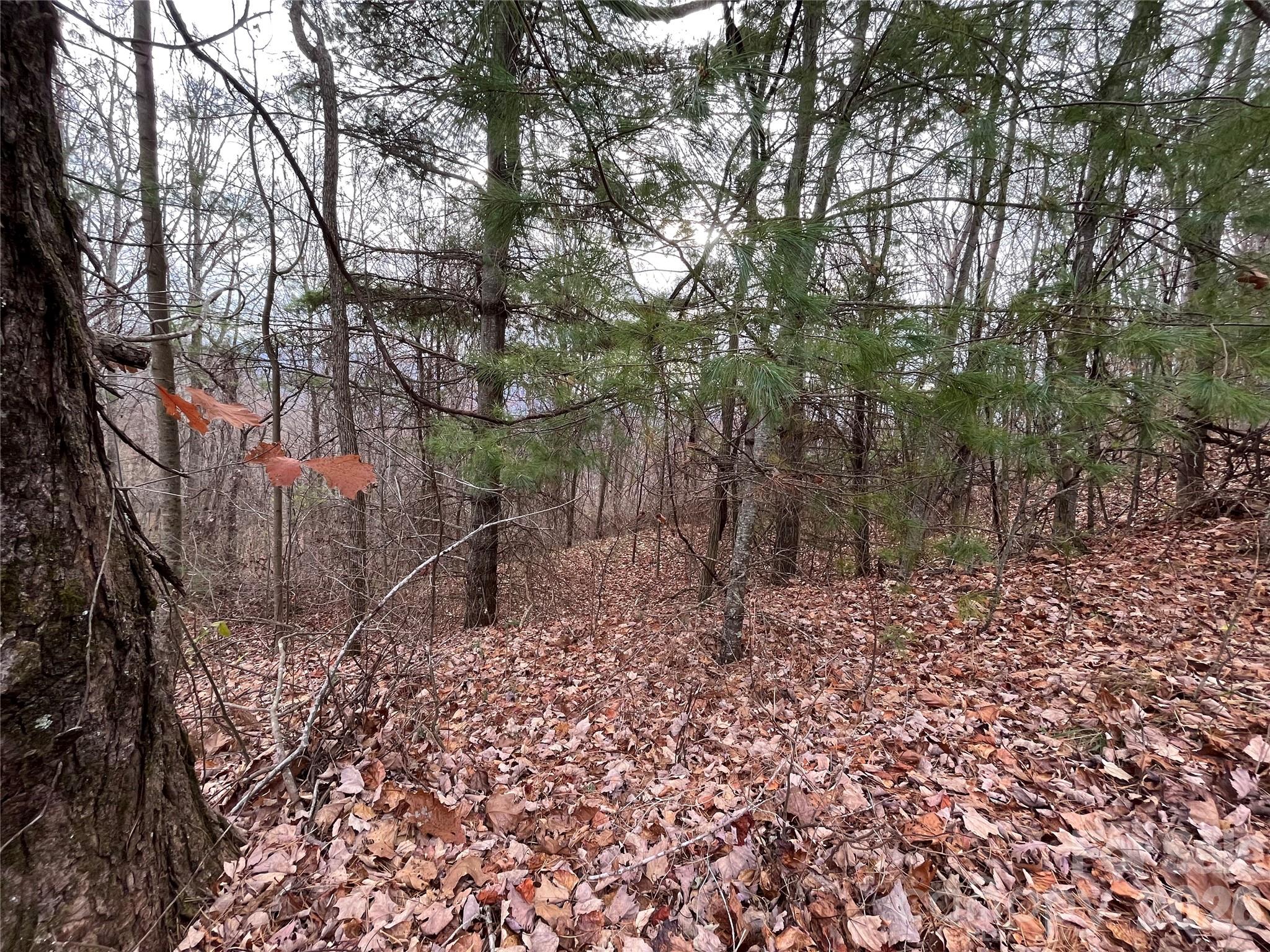 Peacock Mountain Development - Land