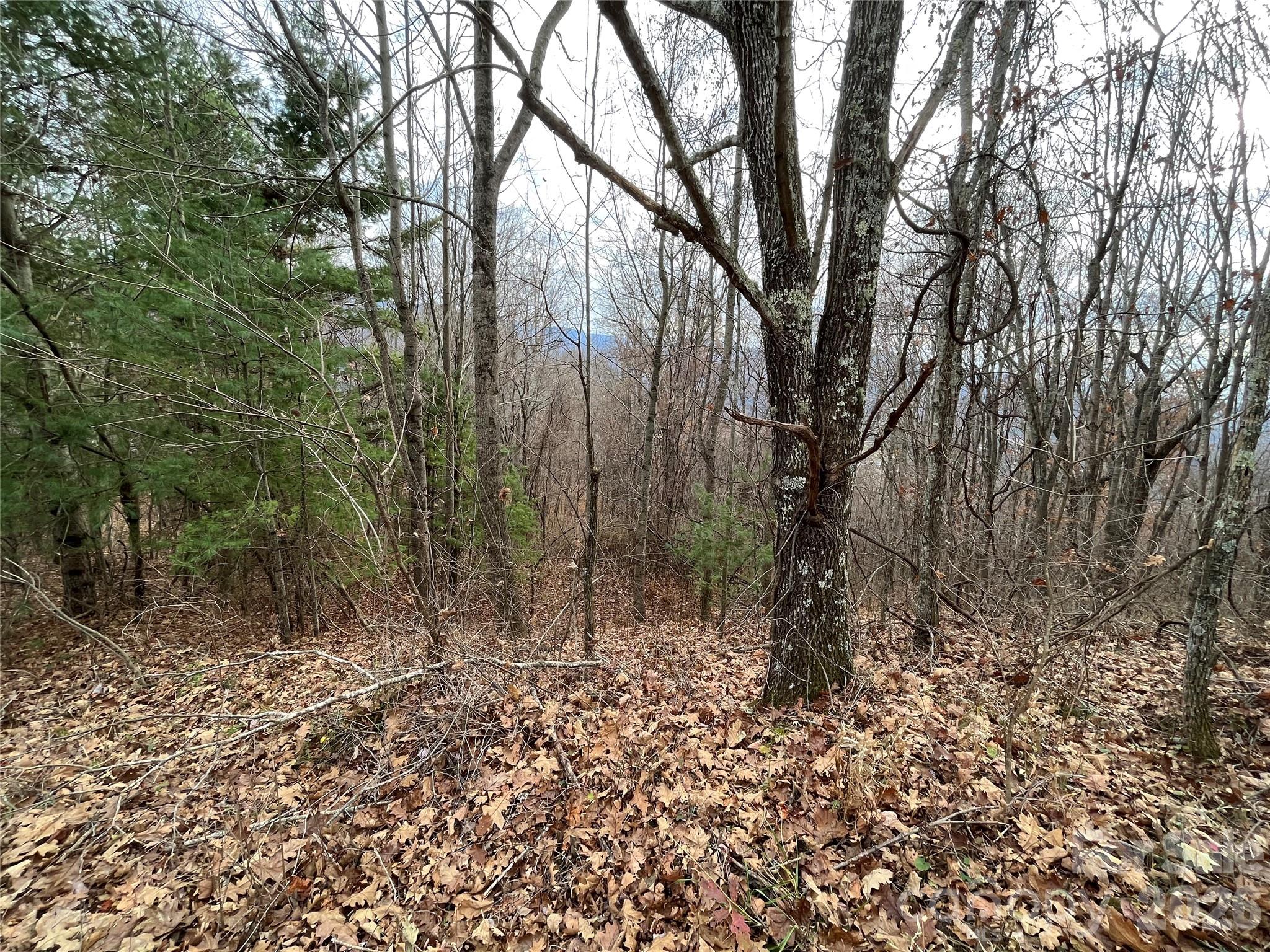 Peacock Mountain Development - Land