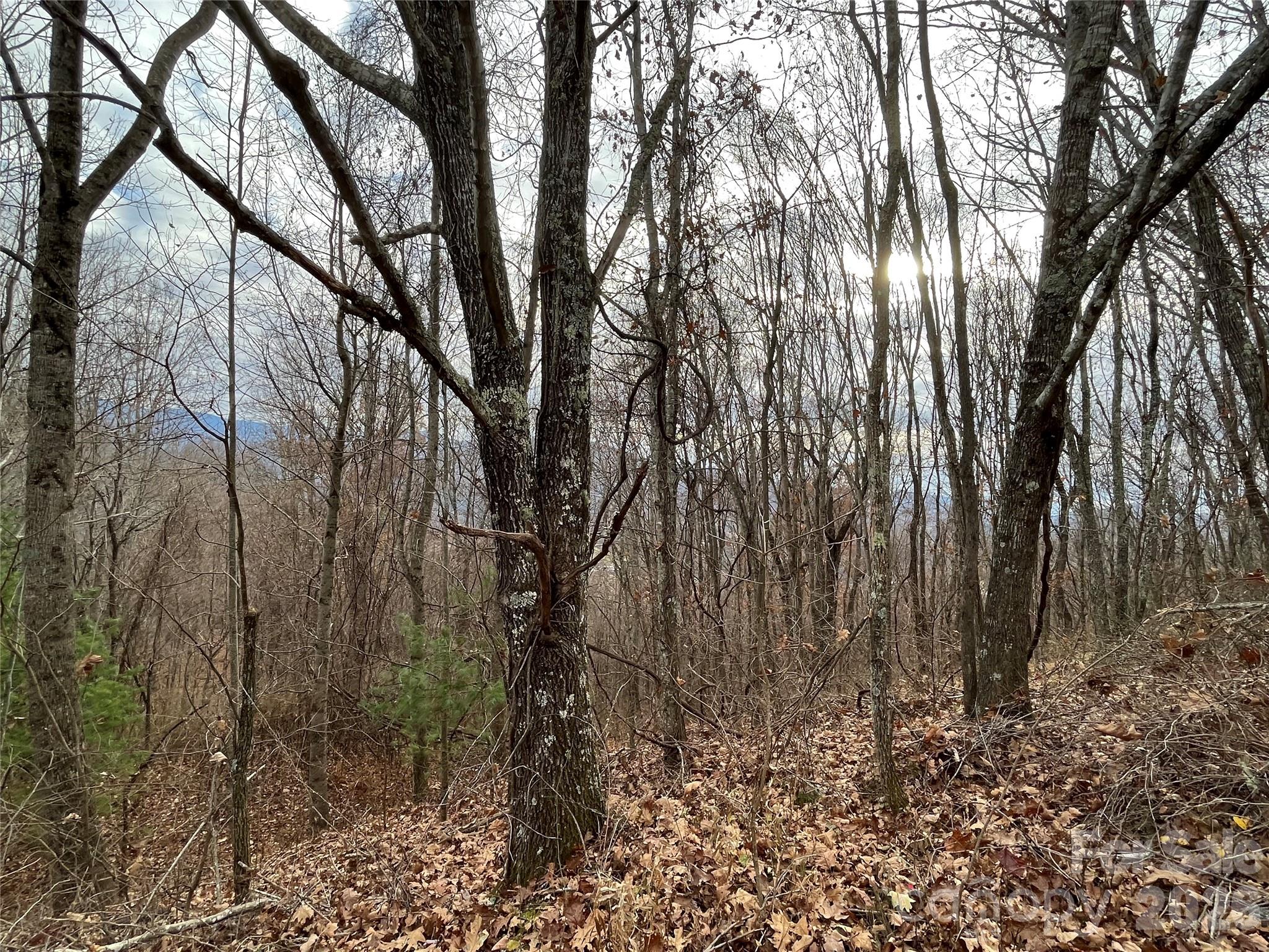 Peacock Mountain Development - Land