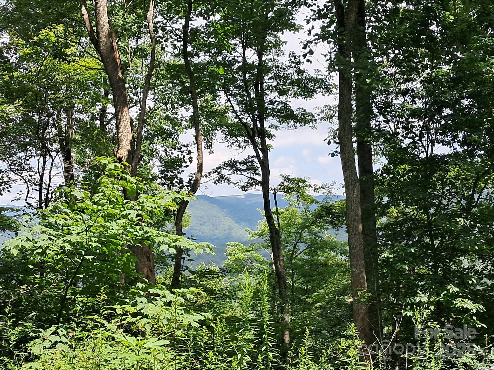 Incredible views around 3800 elevation for your mountain dream home!  It offers year round long range views overlooking the National Forest.  Mountain atmosphere that encourages an appreciation for nature!  The residents who are here enjoy privacy, security, and spectacular elevated views, while being a short distance from both Waynesville and Maggie Valley.  Also, easy access to I40 for delightful day trips East into NC or West into TN to nearby Cherokee and Gatlinburg and Great Smoky Mountains National Park. The neighborhood borders National Forest Land.  Lots of wildlife call this mountain home including turkeys, deer, a few bears and there's been one Elk sited.  With its ideal location and stunning vistas, this property presents an unparalleled opportunity to bring your dream home to life.  Copy of recently expired septic improvement permit is available.
