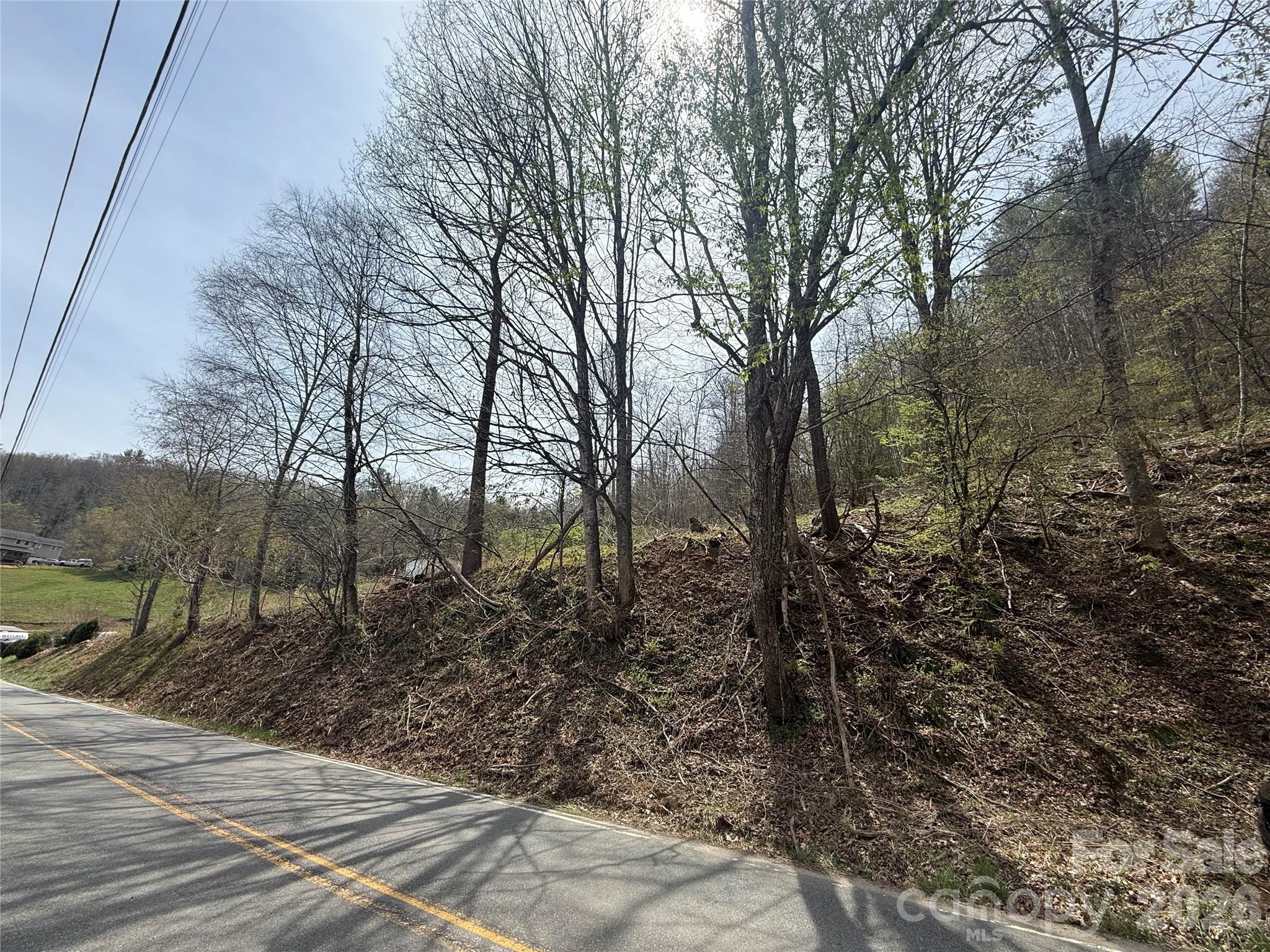 Tucked away just off Hortons Creek, this beautiful ±3.22-acre tract offers the perfect blend of privacy, convenience, and possibility. Located only about 15 minutes from the charming town square of Burnsville and less than 40 minutes to Asheville, you’ll enjoy easy access to local shops, dining, and mountain adventures while still feeling worlds away.

With no restrictions, this property is a blank canvas ready for your vision—whether that’s a full-time residence, mountain getaway, or investment opportunity. The gentle landscape and natural surroundings make it easy to imagine your next chapter.