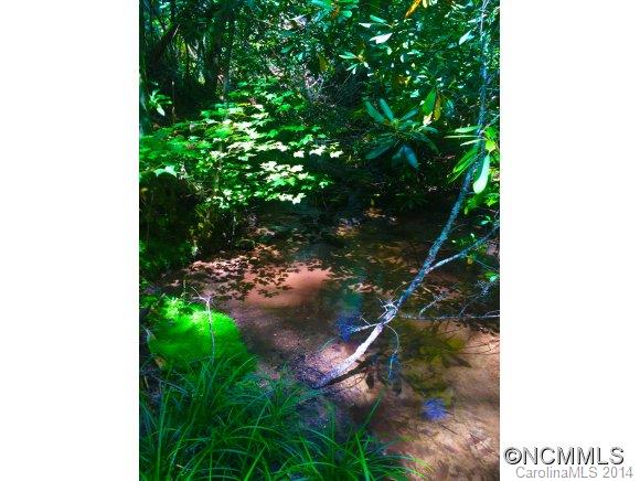 Great building site that is easily accessible near a bold stream. Located in a beautiful gated community with an abundance of waterfalls and natural amenities. Being sold way below last sales price and tax value.