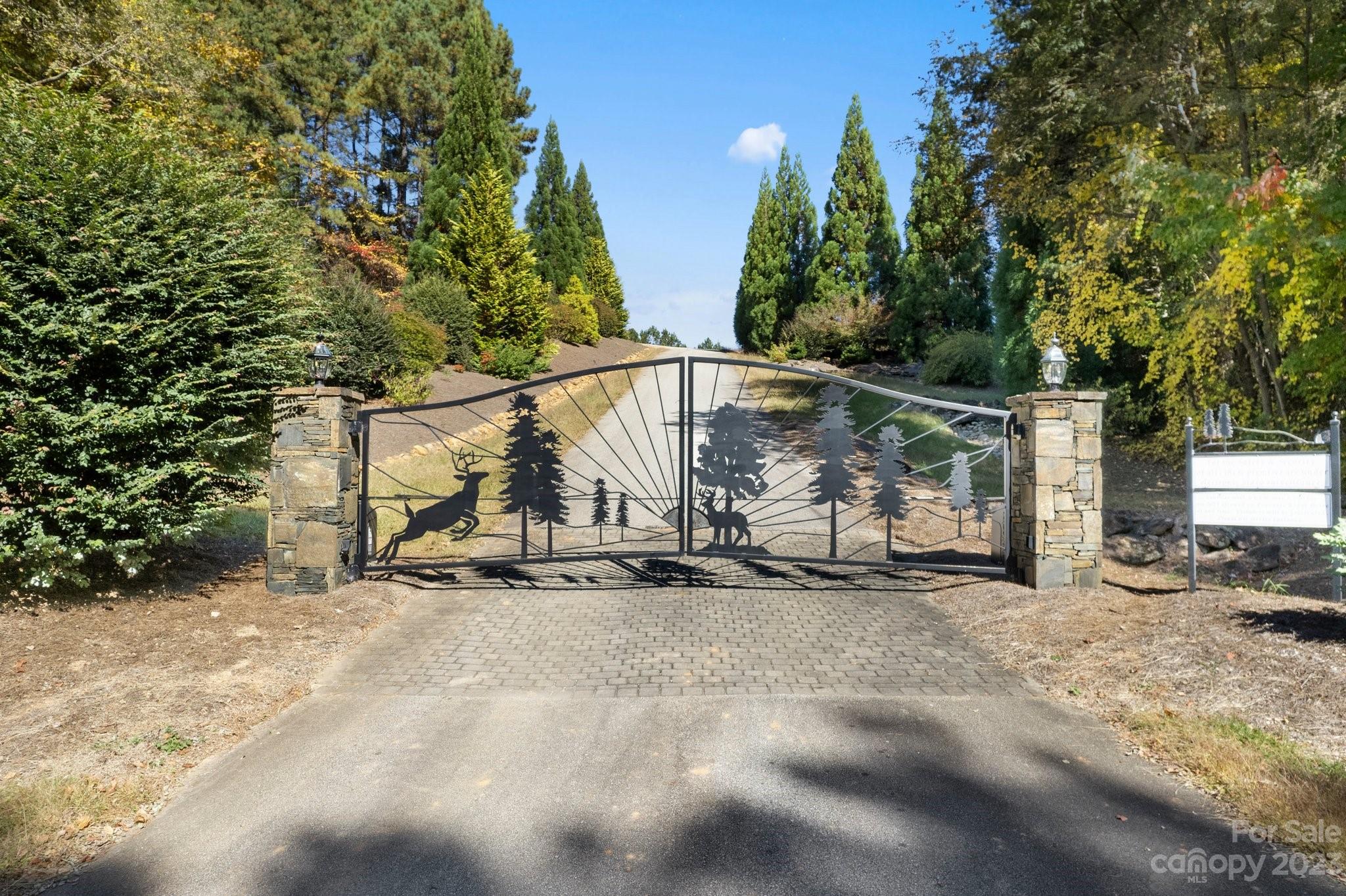 The Pinnacle at Ridgeview - Land