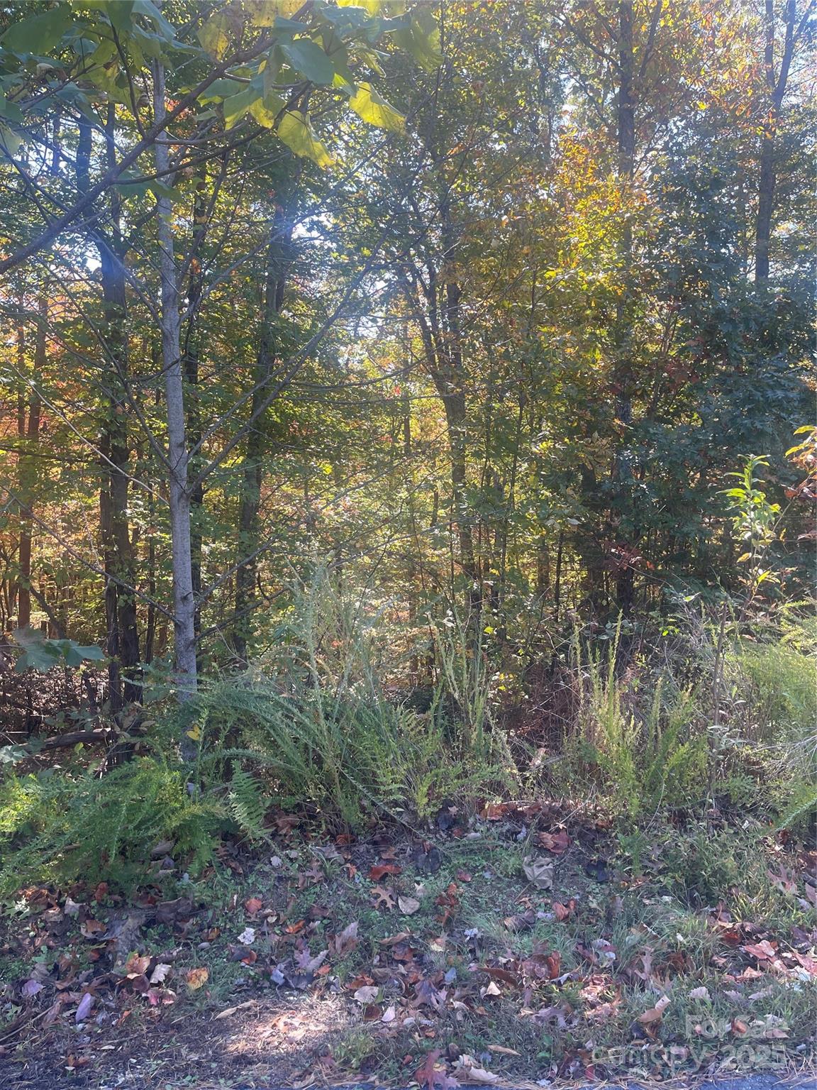 Lakewood - Land