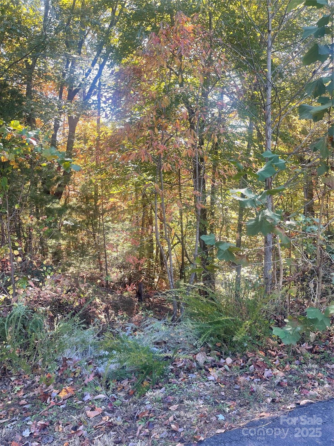 Lakewood - Land