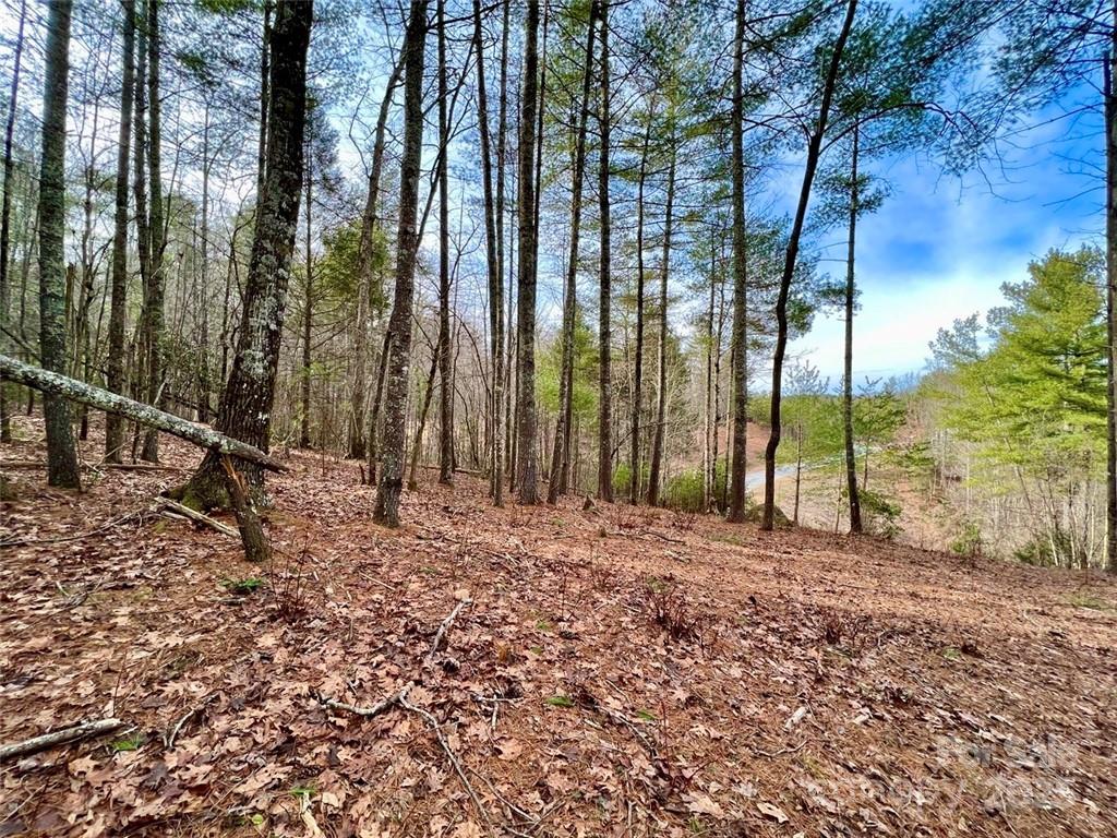The Coves Mountain River Club - Land