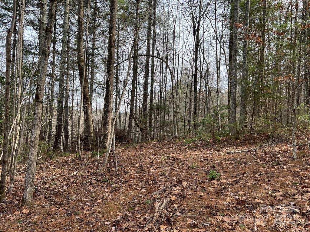 The Coves Mountain River Club - Land