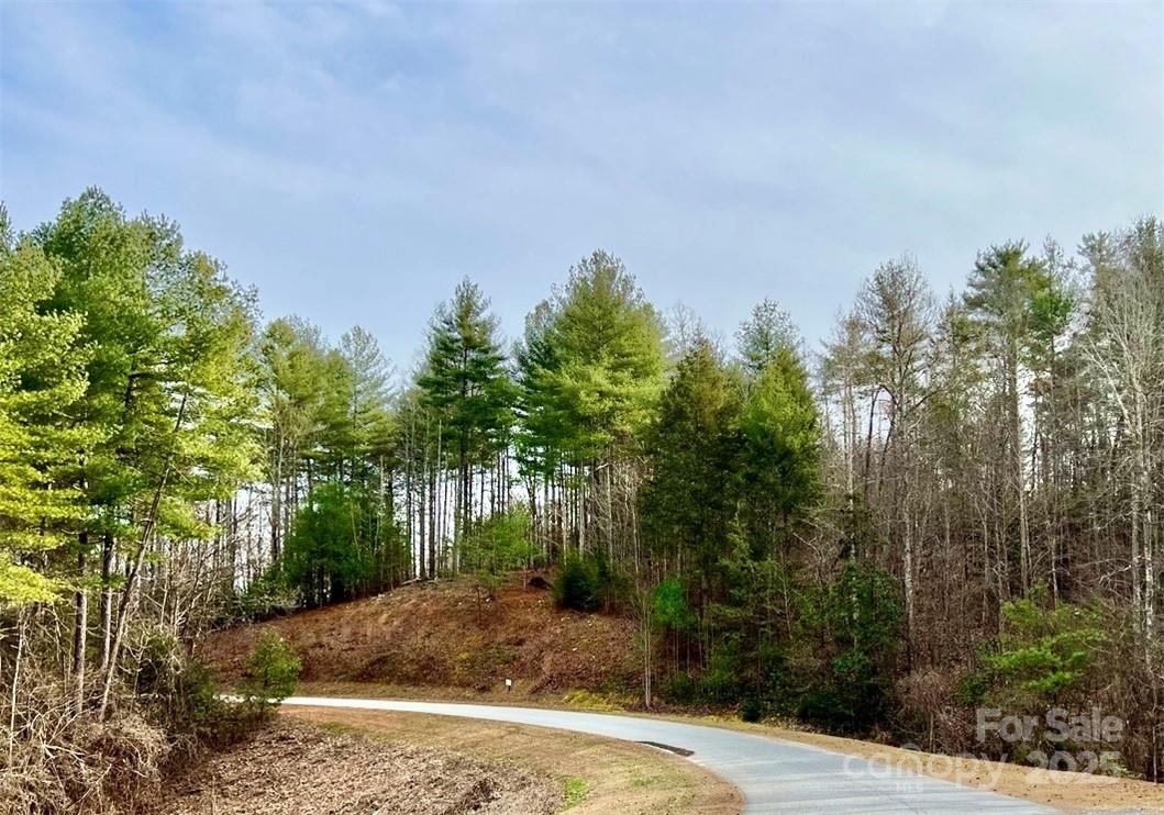 Level build site on top of 3.16 acre lot at The Coves Mountain River Club, only $74,900.  Drive up a gentle slope to this home site and build your home above street level where there are interior mountain views.  Lot 77 is just outside the new section of The Coves, The Farm on Husband's Creek.  Build your dream home or vacation getaway. No time limits to build. Clubhouse is a fabulous log structure located on a high peak with 360° views of Blue Ridge, South Mountains, and Brushy Mountains. Pool, fitness center, locker rooms, full kitchen. Five miles of Johns River at The Coves are perfect for kayaking, fishing, panning for gold, or wading and splashing on a hot summer day. Pickle-ball courts. Putting green. Community garden,  vineyard. 2 Equestrian Centers. Social events, yoga, strength training, excursions, dinner club. The Coves is a Firewise USA® Community, a program of the National Fire Protection Association, that helps neighbors organize to reduce wildfire risk, harden homes, and create defensible space by managing vegetation and preparing for wildfires. Pisgah National Forest and Wilson Creek Gorge Wild and Scenic River Area minutes away. Short drive to Charlotte, Asheville. Minutes to Blowing Rock, Morganton, Lenoir.