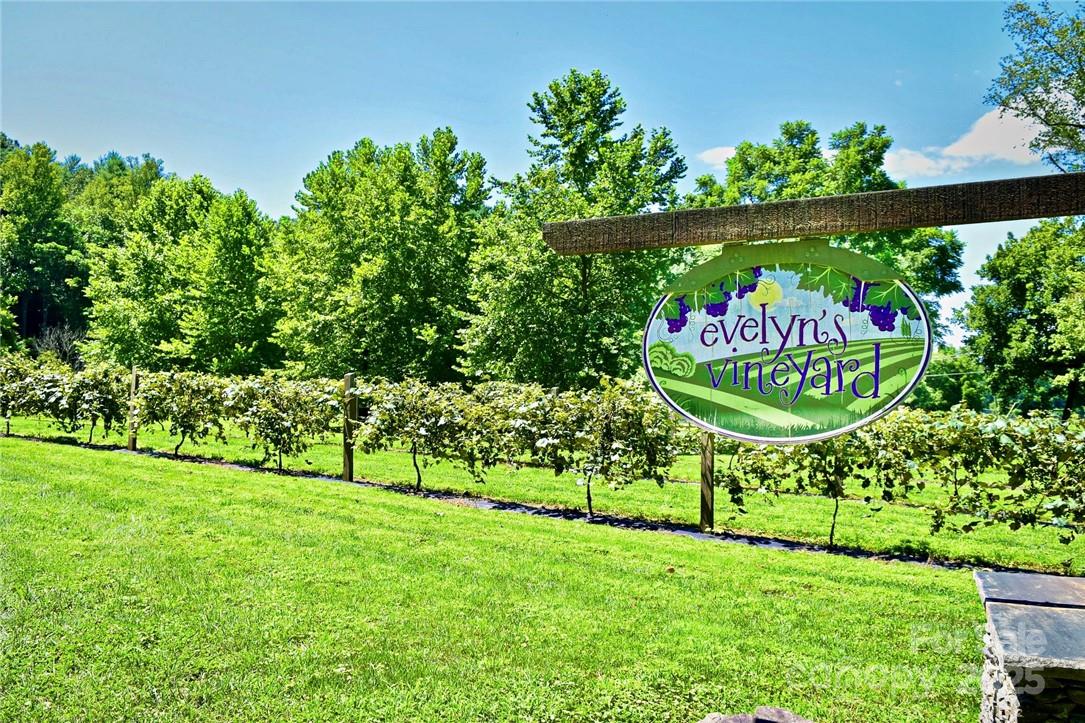 The Coves Mountain River Club - Land