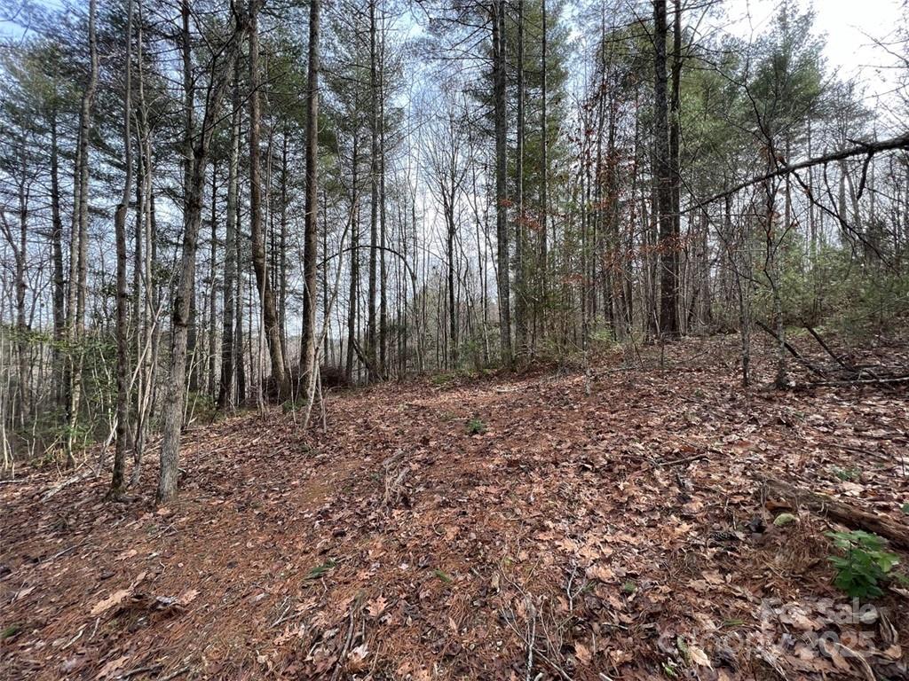 The Coves Mountain River Club - Land