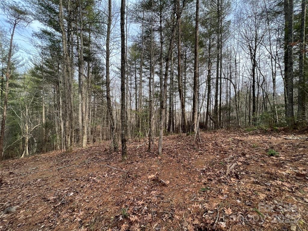 The Coves Mountain River Club - Land