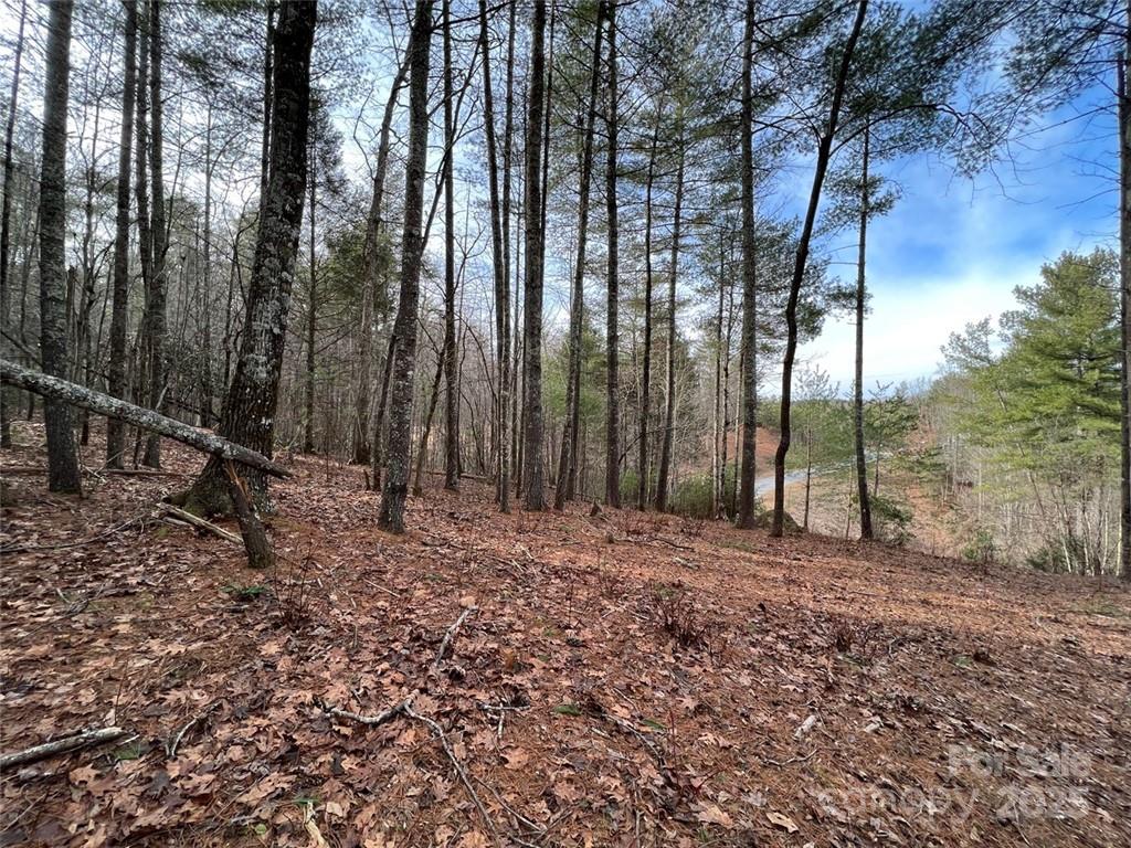 The Coves Mountain River Club - Land