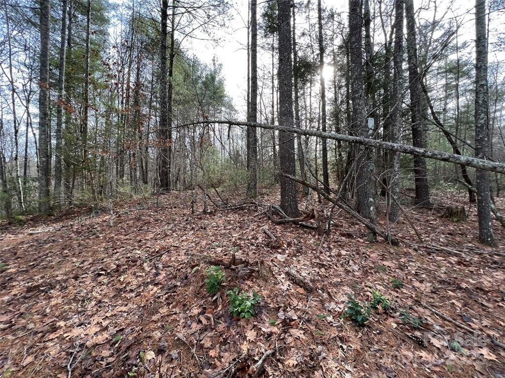 The Coves Mountain River Club - Land
