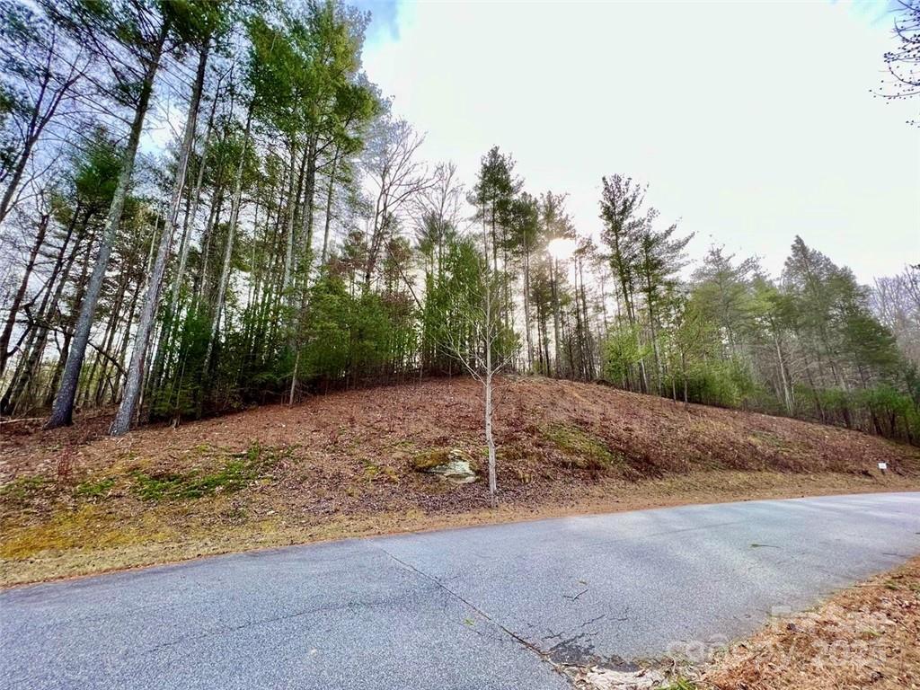 The Coves Mountain River Club - Land