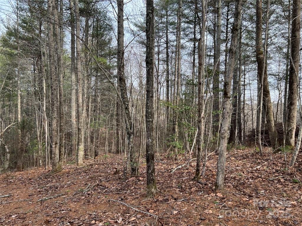 The Coves Mountain River Club - Land
