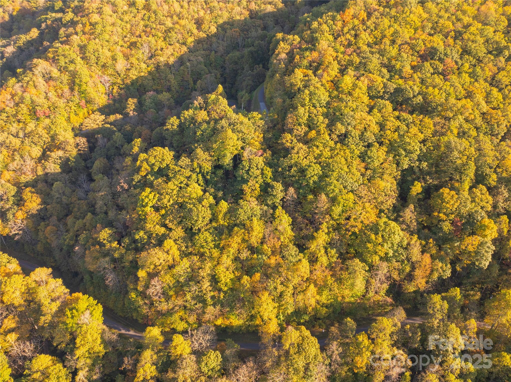Brush Creek Properties - Land