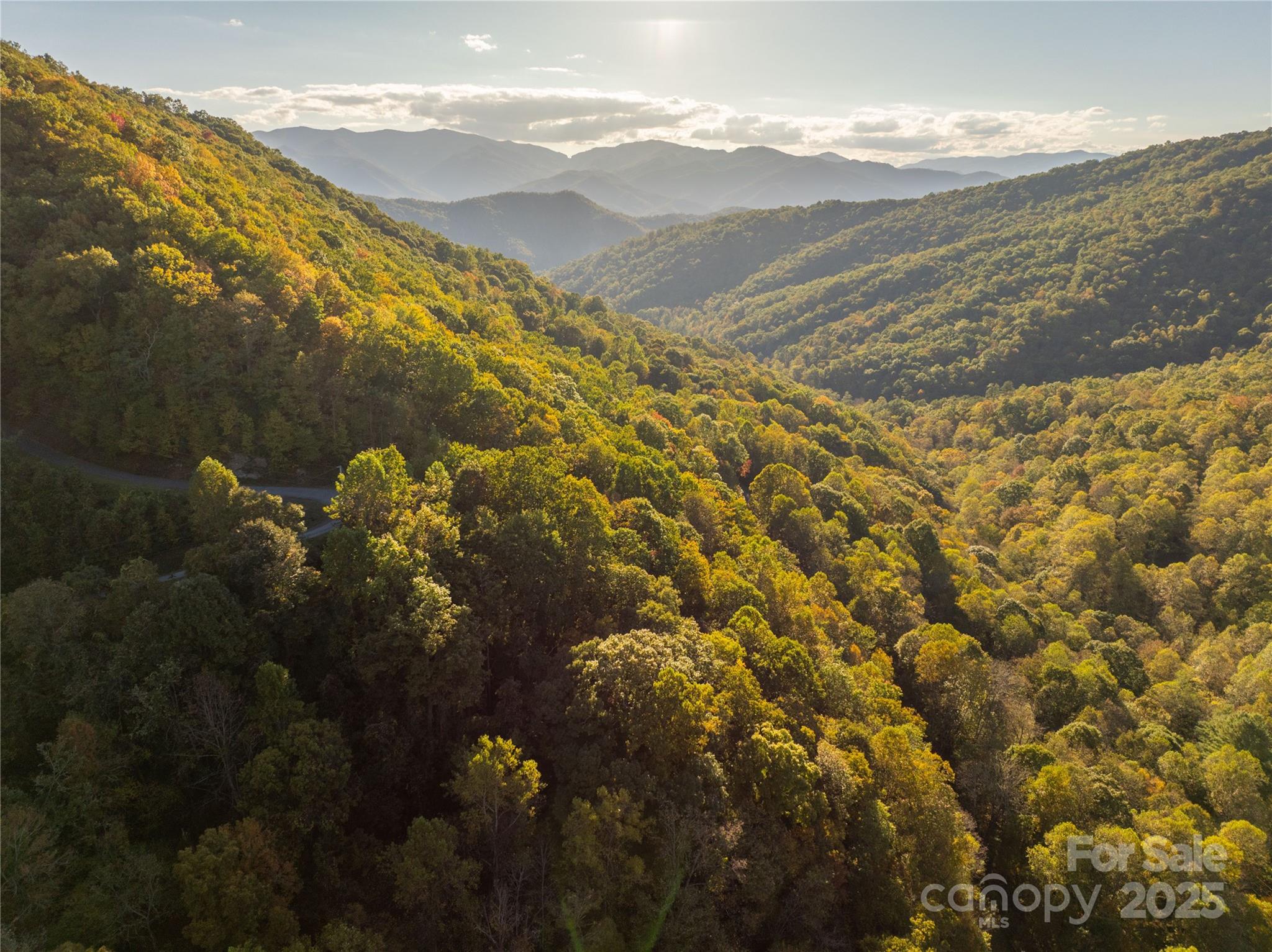 Brush Creek Properties - Land