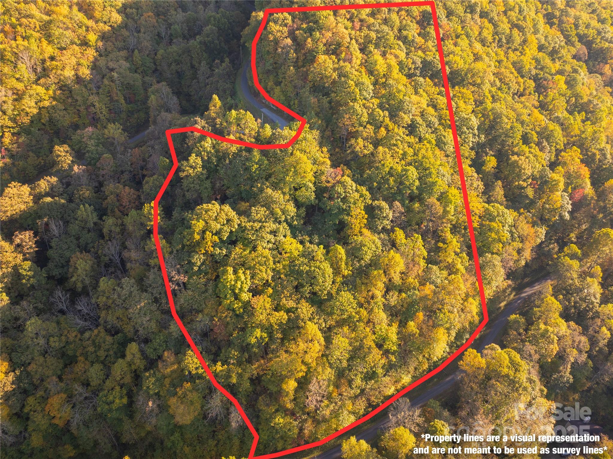 Brush Creek Properties - Land