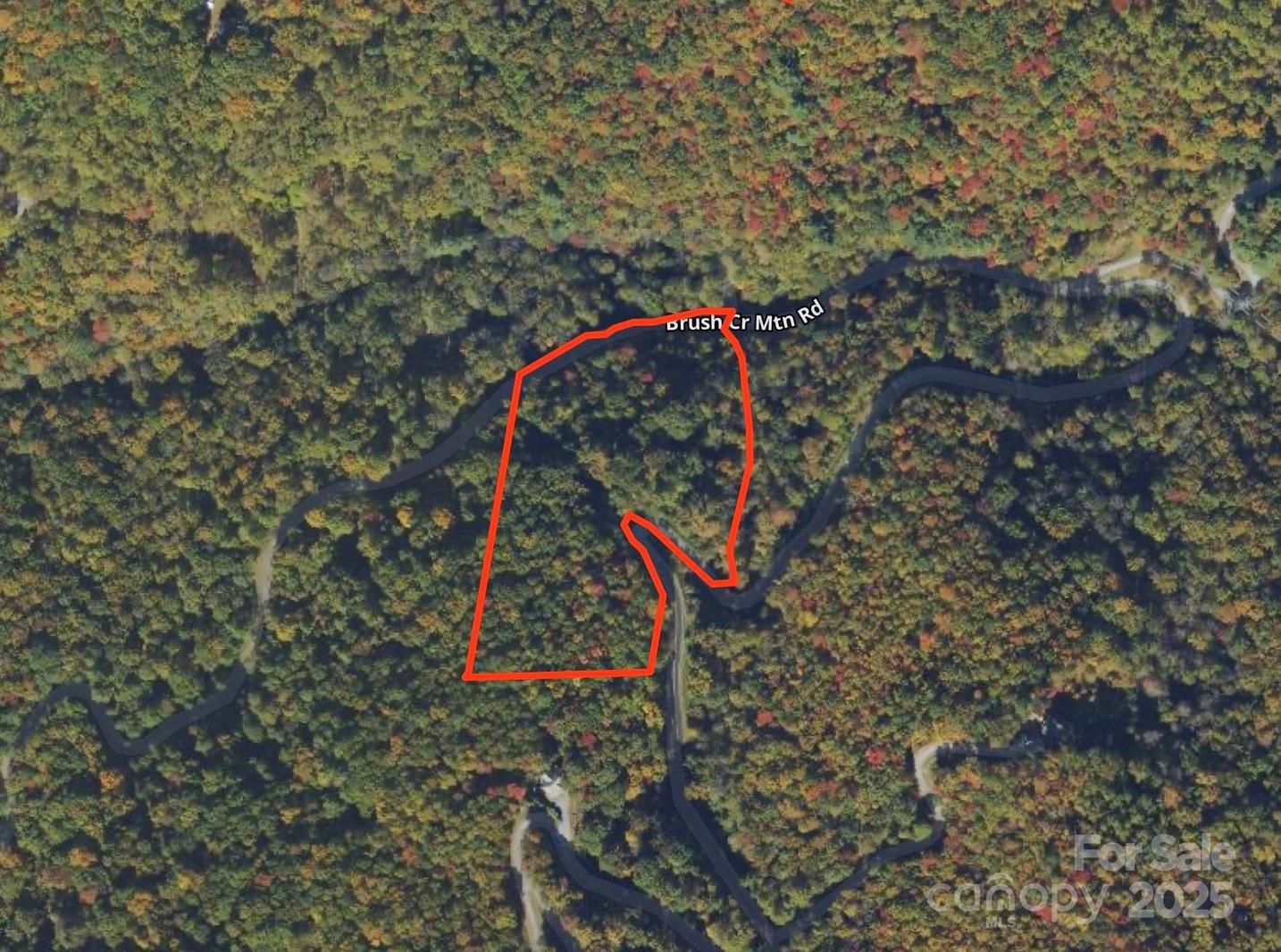 Brush Creek Properties - Land