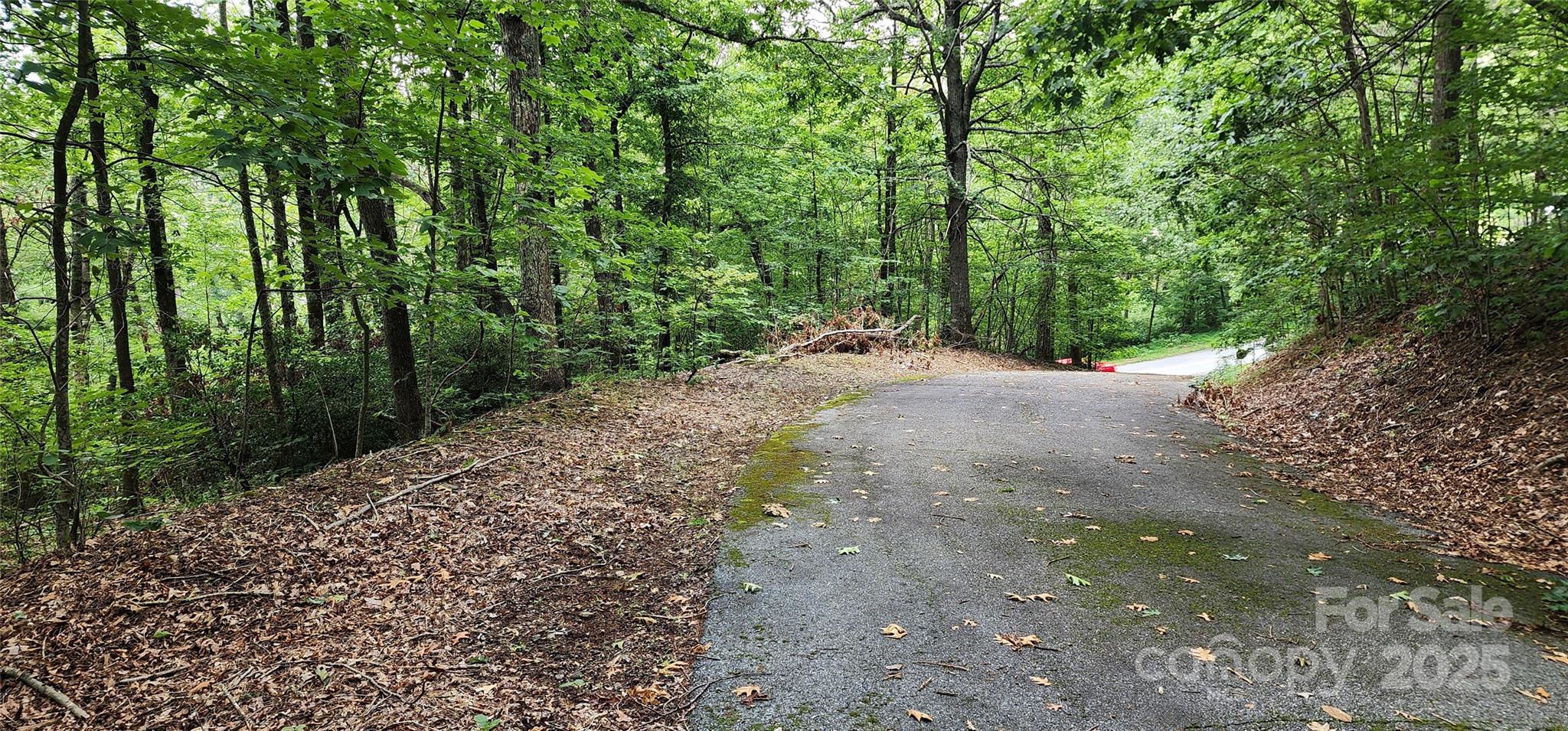 White Oak Mountain - Land