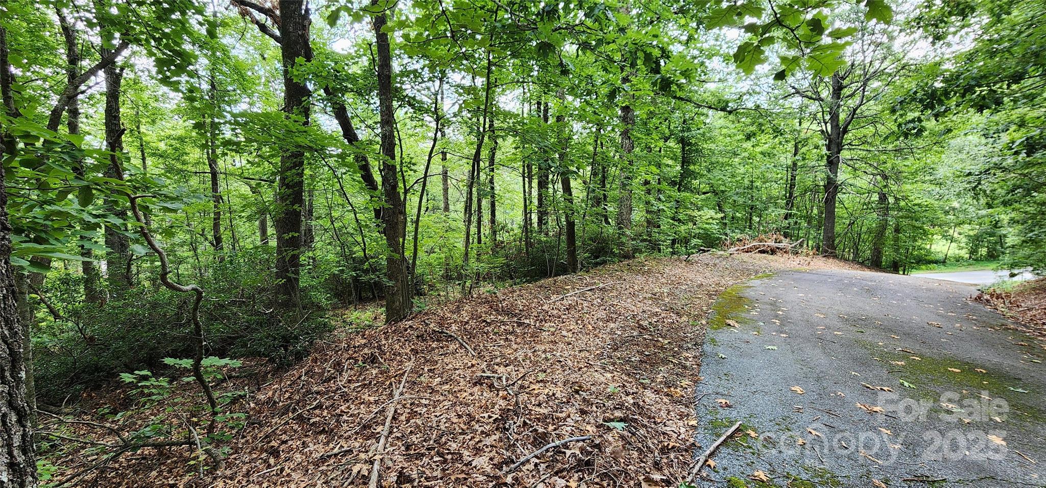 White Oak Mountain - Land