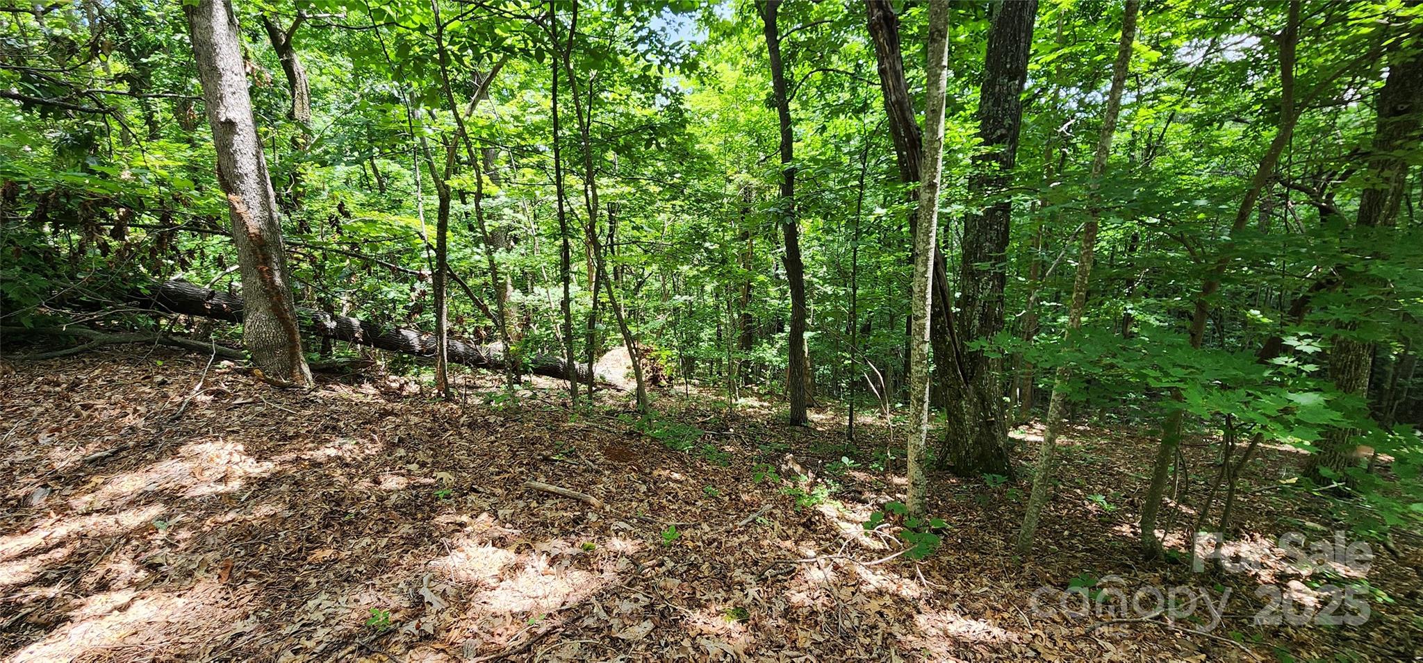 White Oak Mountain - Land