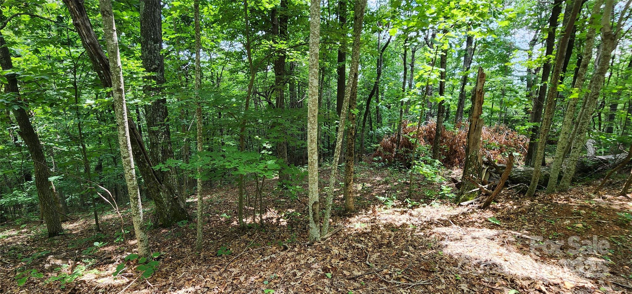 White Oak Mountain - Land
