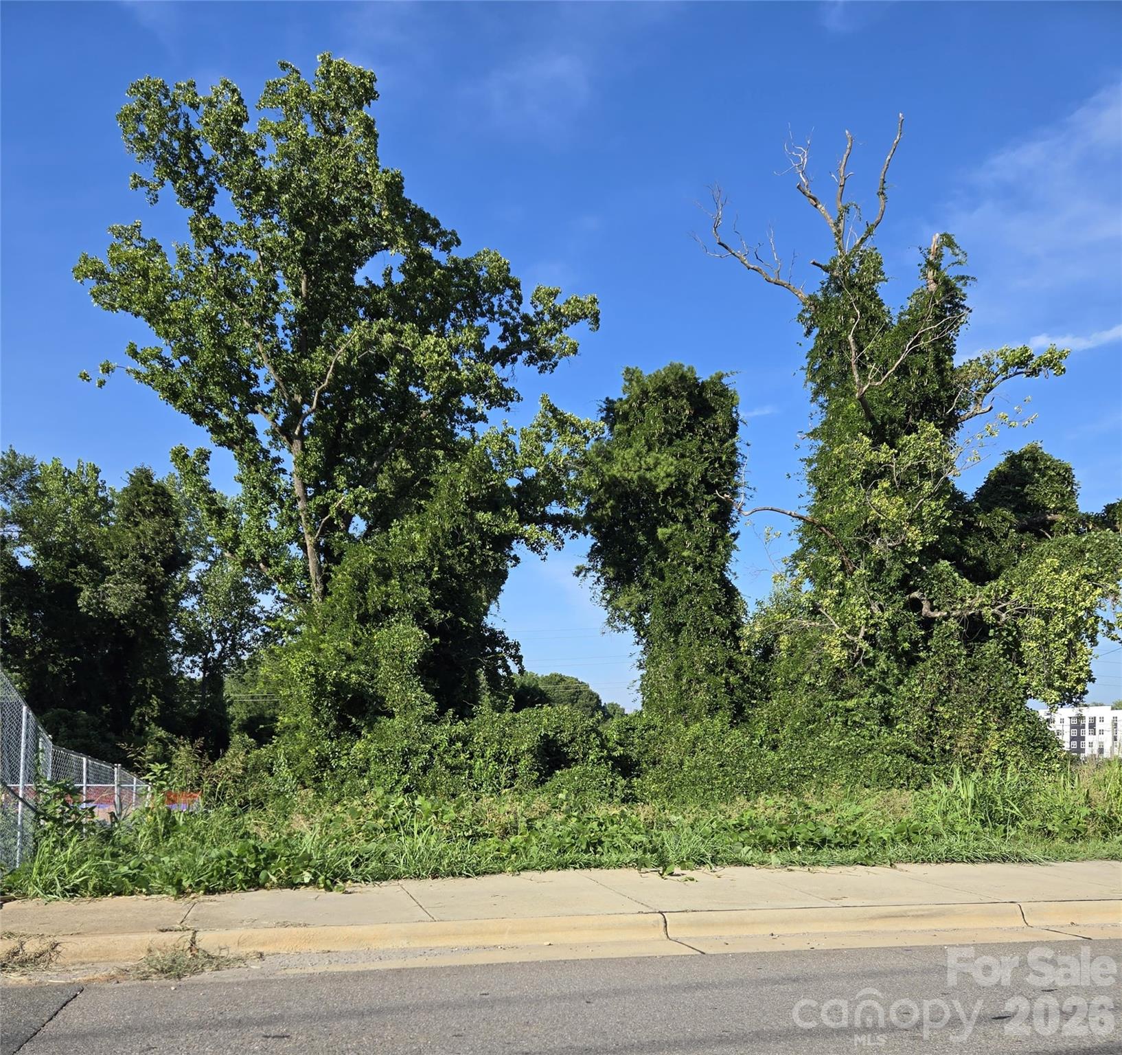 A rare opportunity in one of Charlotte's most active growth corridors. Prime .22-acre development opportunity in Charlotte's fast-growing Tryon Hills/NoDa-adjacent corridor, just minutes from Uptown and Camp North End. Zoned N2-B, this lot supports a range of development options — offering builders and investors flexibility to match the surrounding neighborhood's evolving housing mix. Located on W 28th Street amid ongoing development activity, with easy access to NoDa's breweries, coffee shops, and restaurants. Buyer to verify utility availability, survey, and all development specifics.