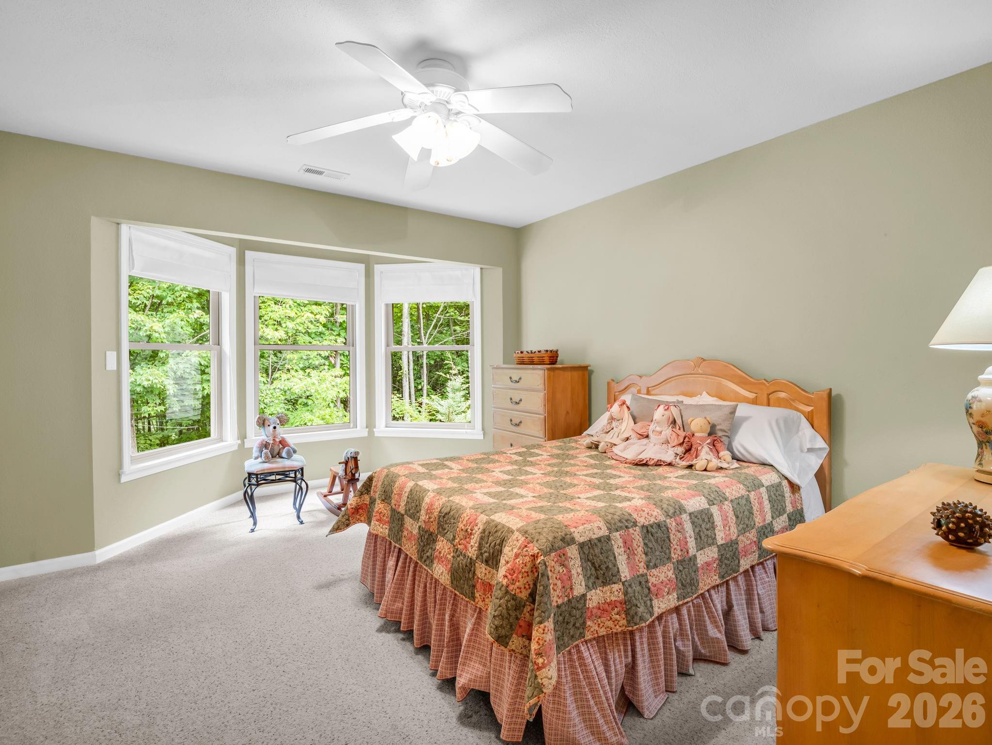 Catawba Falls Preserve - Residential