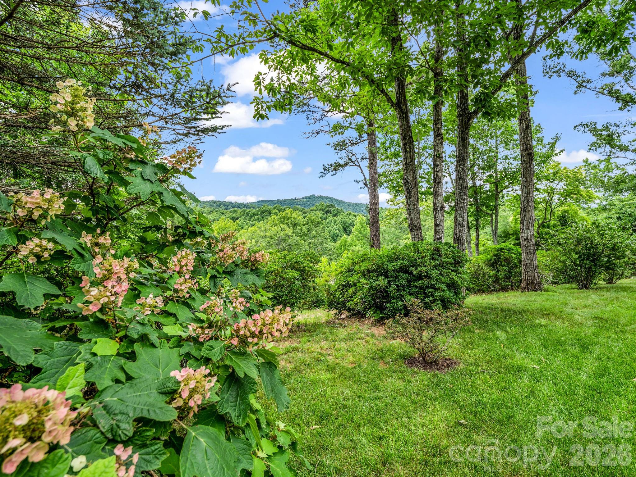 Catawba Falls Preserve - Residential