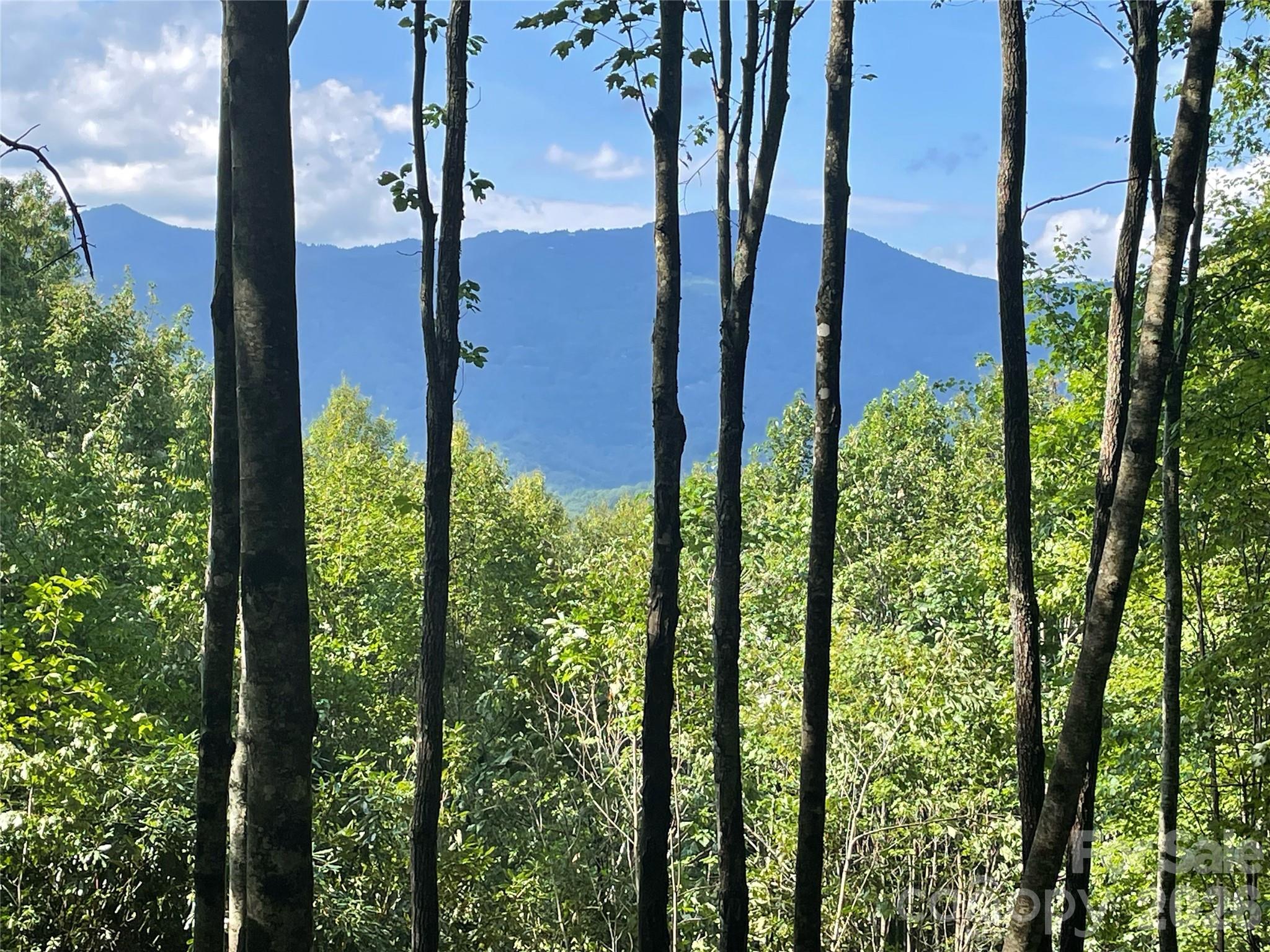 Balsam Mountain Preserve - Land