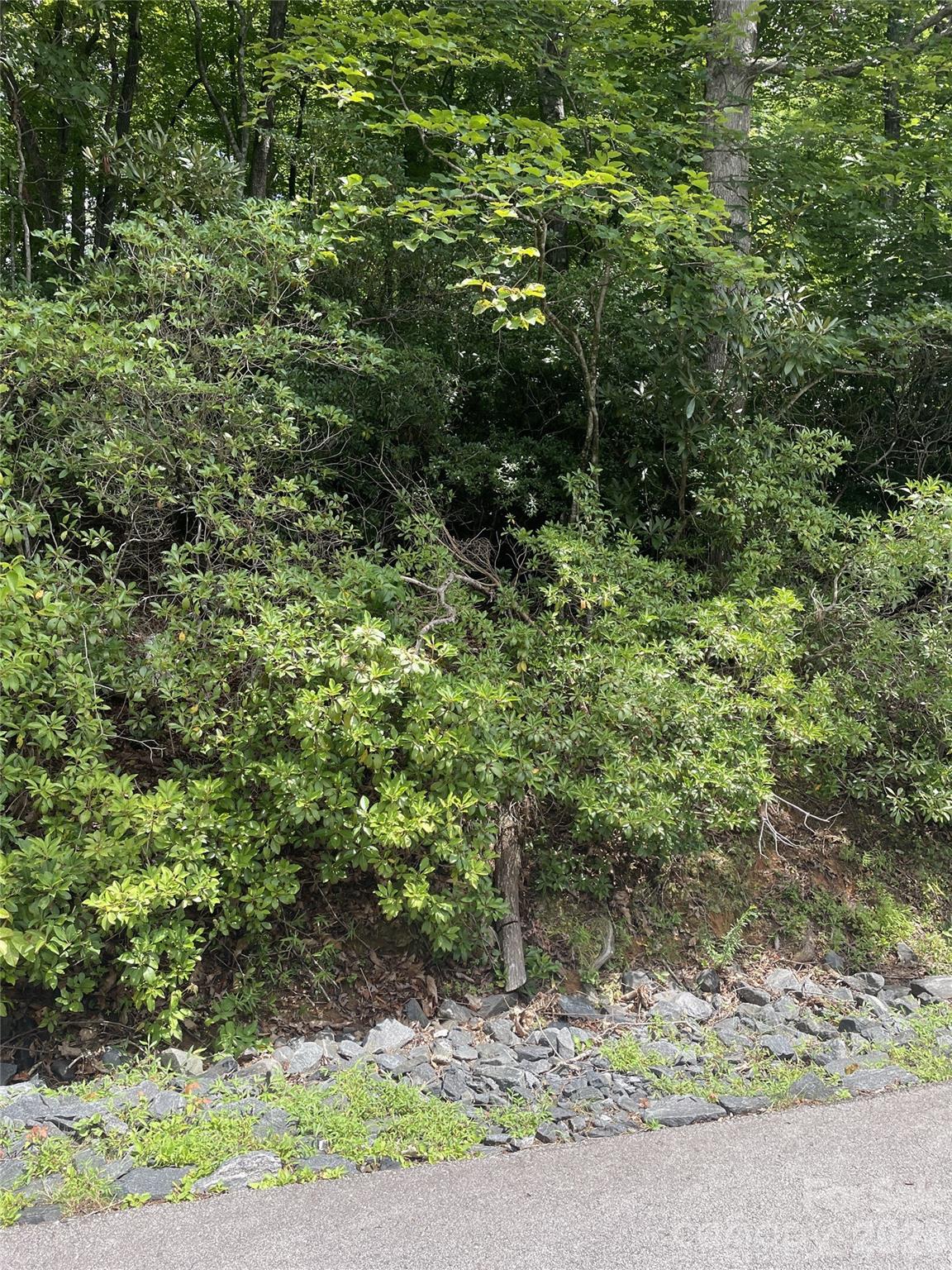 Mt. Mitchell Lands - Land