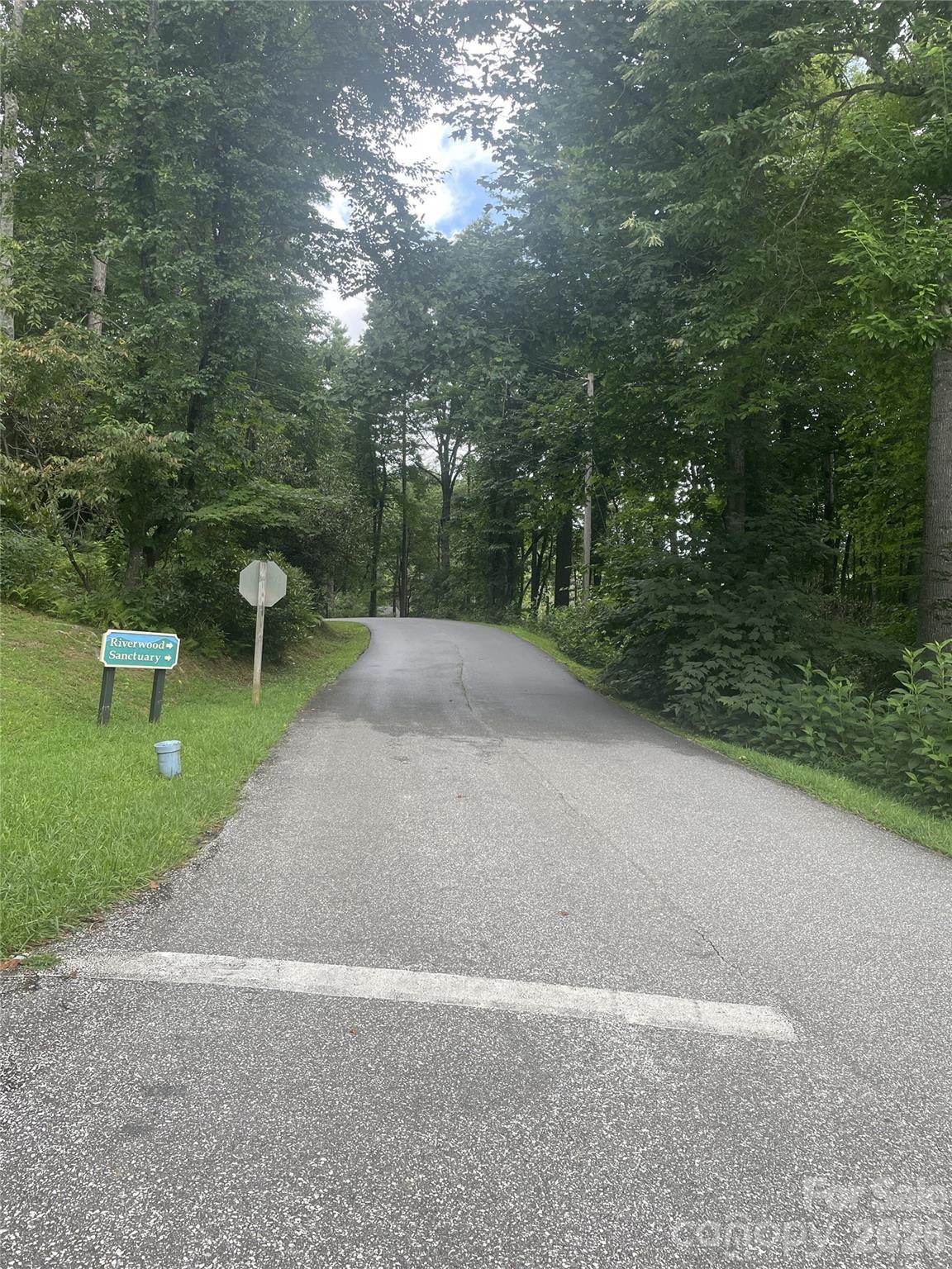 Mt. Mitchell Lands - Land
