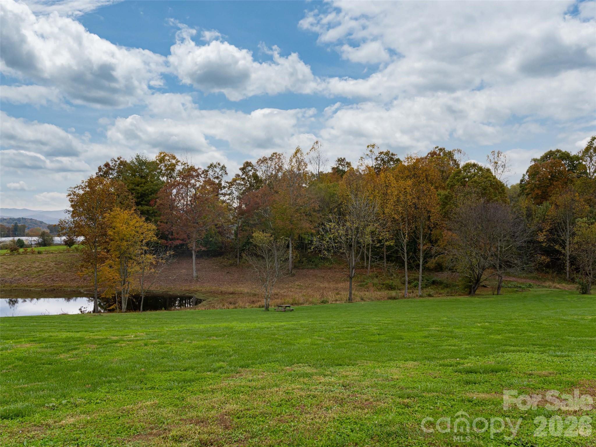 The Farm at Mills River - Land