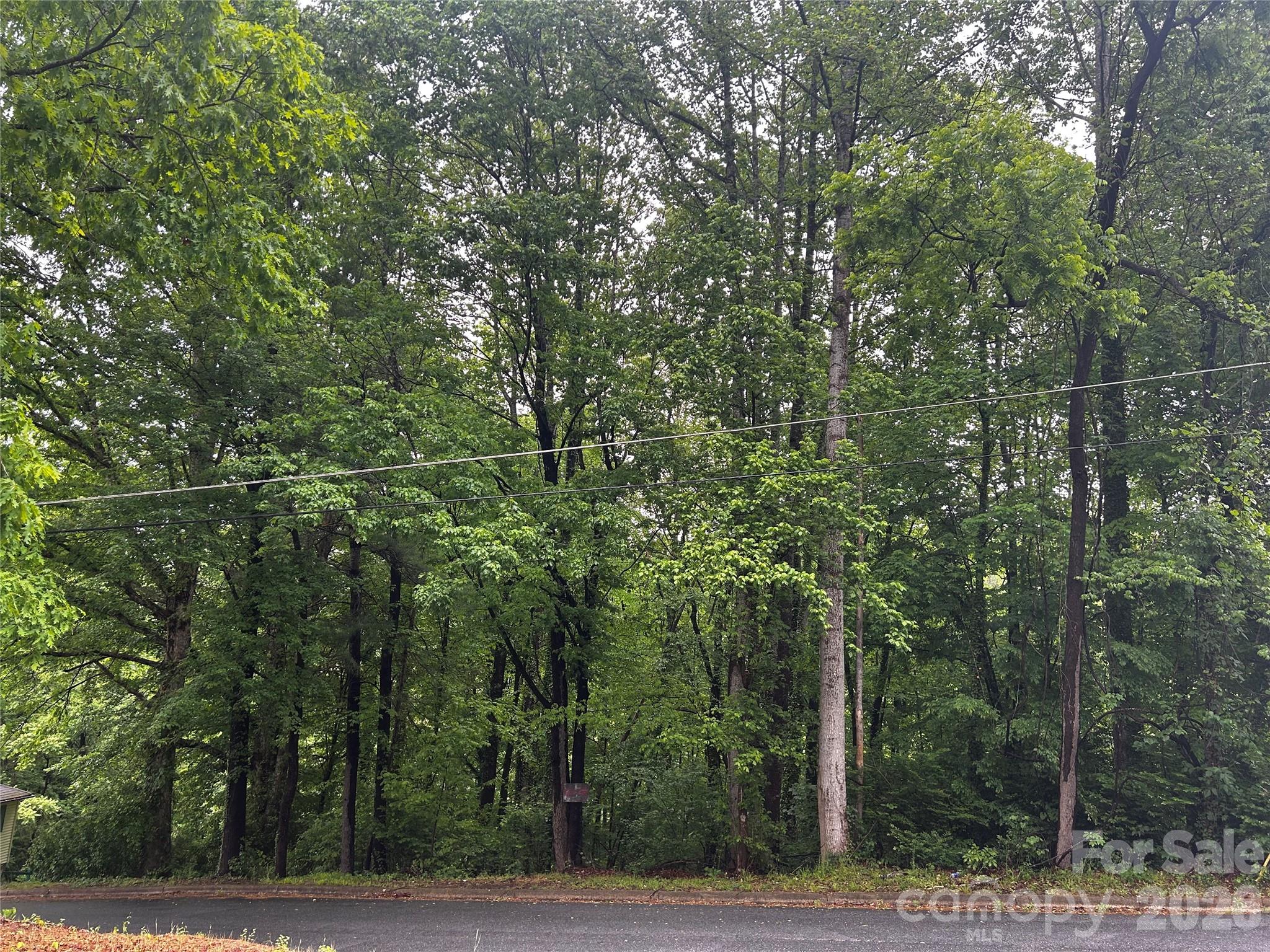Opportunity awaits with this versatile and promising parcel of land, offering the perfect canvas for your vision! Whether you’re looking to build your primary residence or you’re a developer seeking your next investment project, this lot delivers exceptional flexibility—including the potential for a multi-family build. Its adjoining layout opens the door to numerous possibilities, giving you room to maximize both space and value. Zoned R-6, the property features accommodating setbacks of 35 feet from the front, 10 feet from the sides, and 25 feet from the rear, providing a balanced framework for creative and functional design. Don’t miss the chance to turn this adaptable land into something truly special!
