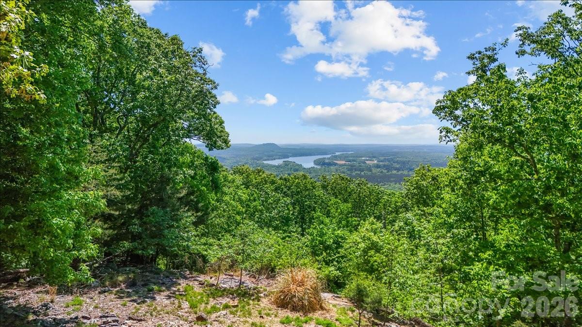 Enjoy peaceful, elevated living from this custom-built home in The Springs at High Rock Lake. Situated on over 5 acres, this 3-bedroom, 2.5-bath home offers privacy, space, and beautiful seasonal views that can be enjoyed from nearly every room. In addition to the scenic setting, the property features a large, usable side yard with ample space for outdoor activities, recreation, gardening, pets, or future outdoor entertaining areas.
The spacious 250+ square foot bonus room offers exceptional flexibility and can easily serve as a media room, playroom, home office, exercise room, hobby space, guest retreat, or additional sleeping area for visitors. Located on one of the highest elevations in Davidson County, the setting is both scenic and secluded.
Interior features include new hardwood floors throughout the main level, custom pocket doors leading to a private bath area, an upgraded water treatment system, and HVAC with ultraviolet air purification. A separate-entry third-car garage adds functionality and versatility. Residents of The Springs enjoy access to a clubhouse, pool, tennis courts, boat ramp, and boat/RV storage. Motivated sellers. Offered more than $100,000 below recent appraised value, creating an exceptional opportunity for value. Motivated seller.  For more info visit https://www.thespringsathighrock.org/