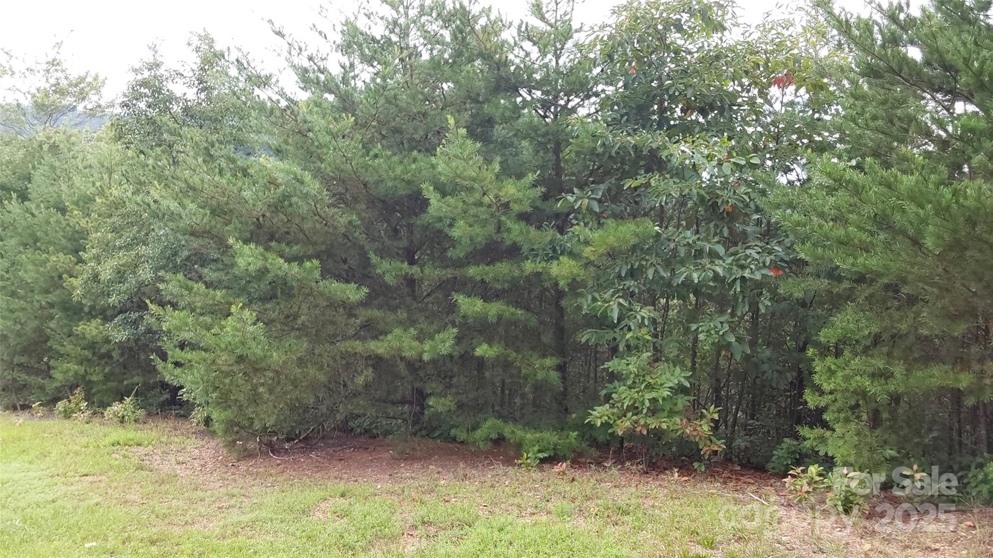 Yellowtop Mountain Estates - Land